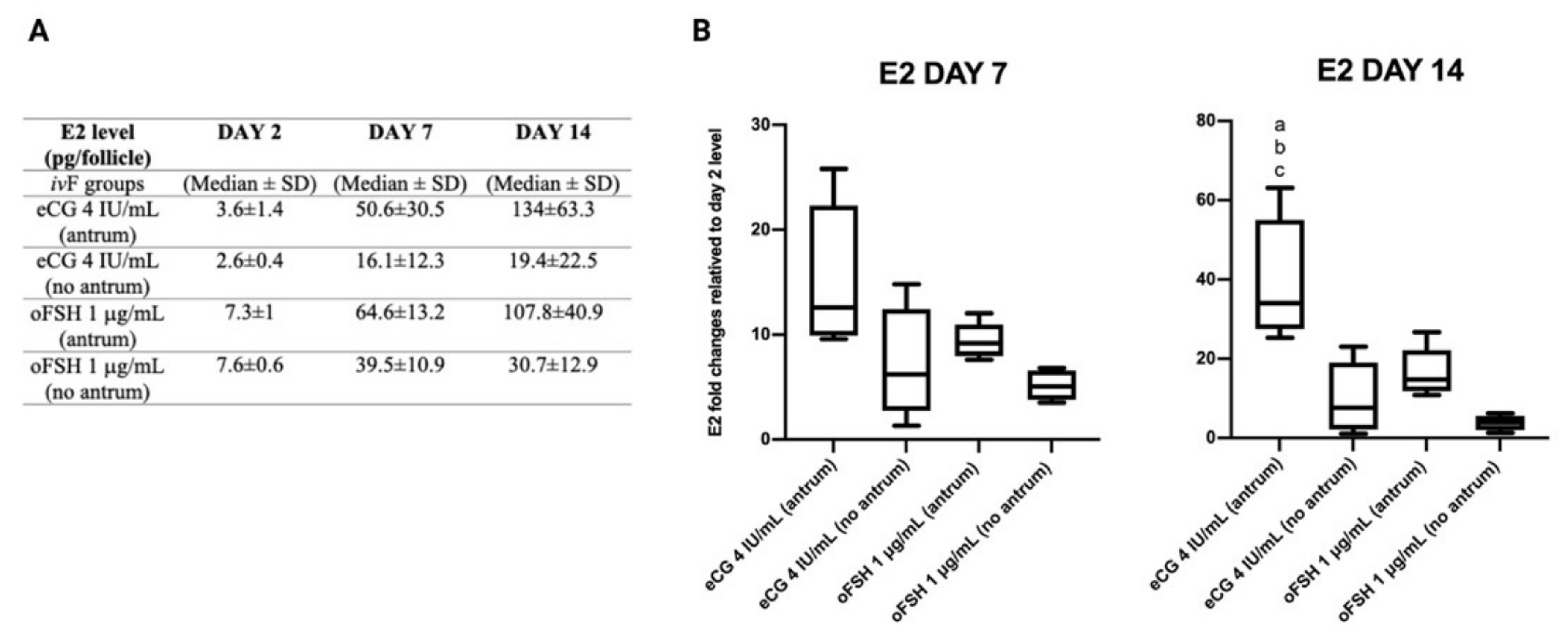 Ijms 22 12422 g007 Ijms 22 12422 g007