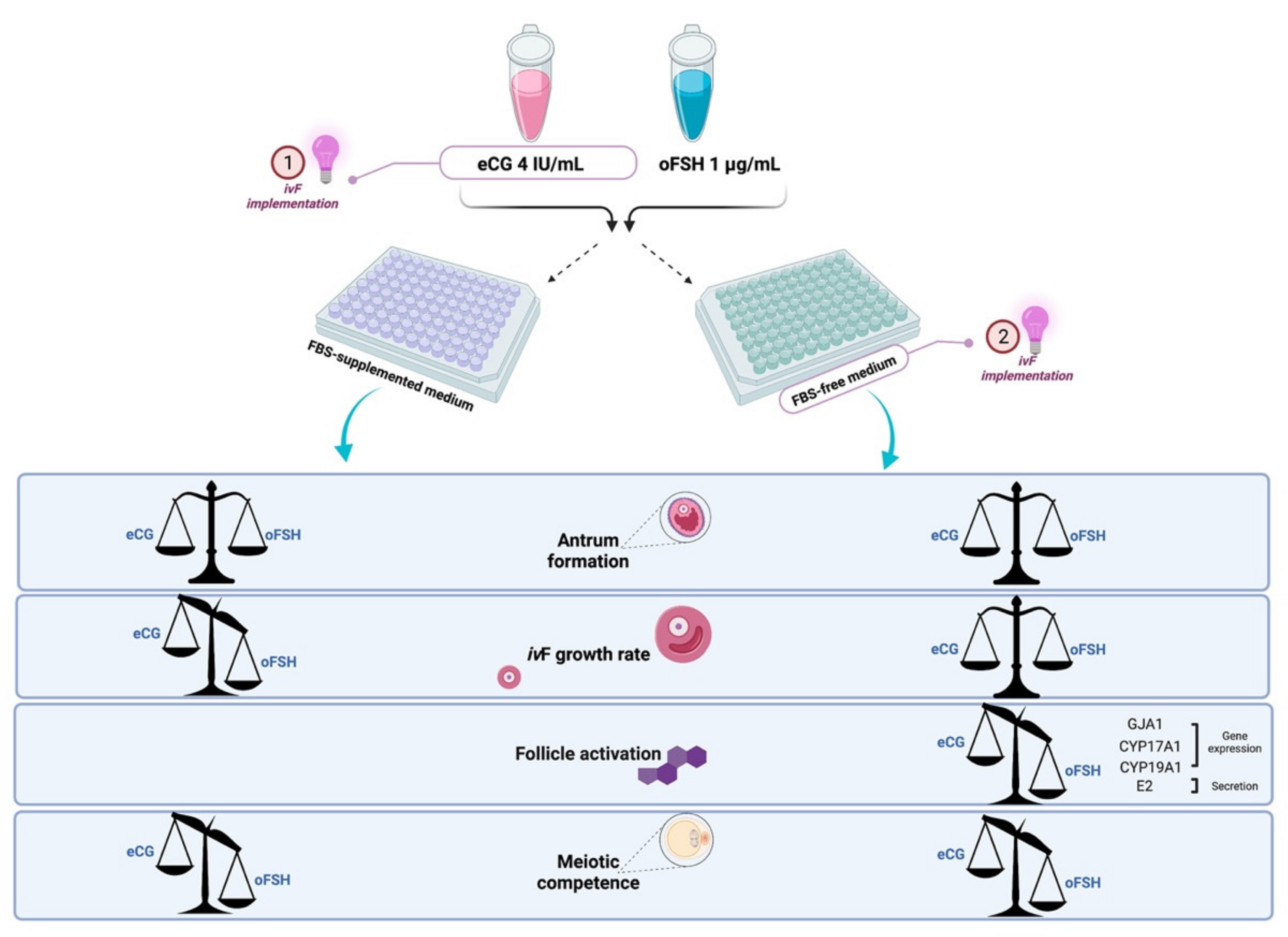 Ijms 22 12422 g008 Ijms 22 12422 g008