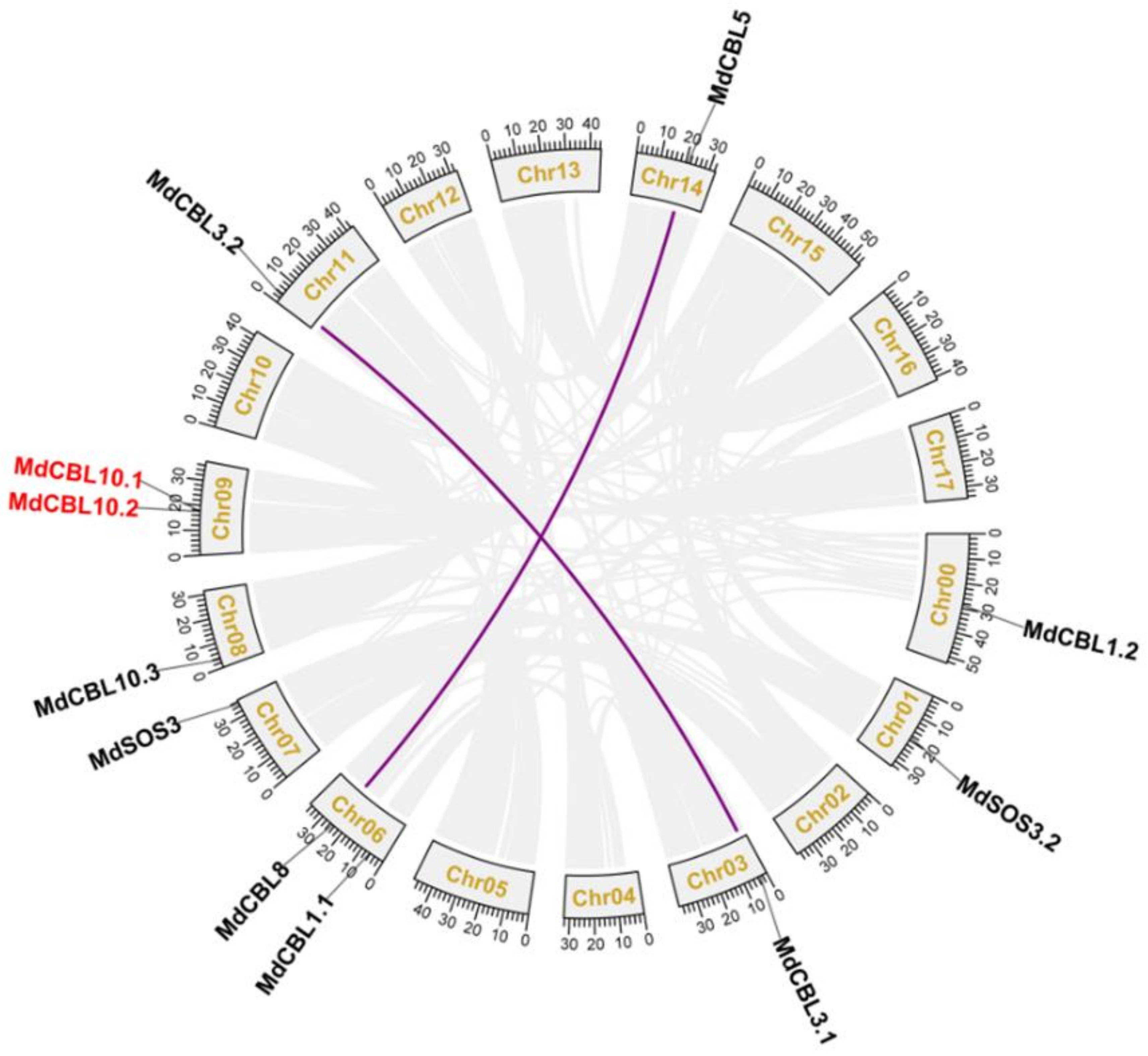 Ijms 22 12430 g001 550