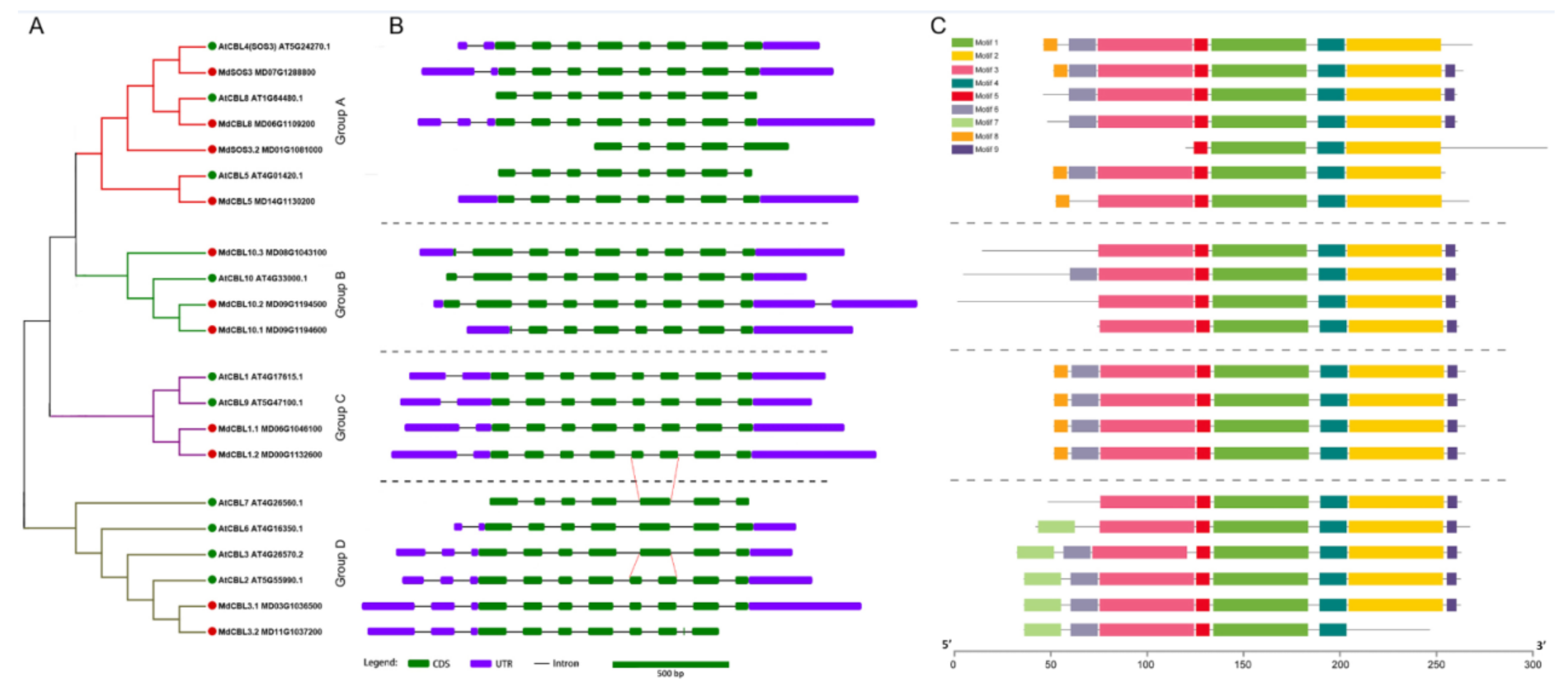 Ijms 22 12430 g002 550