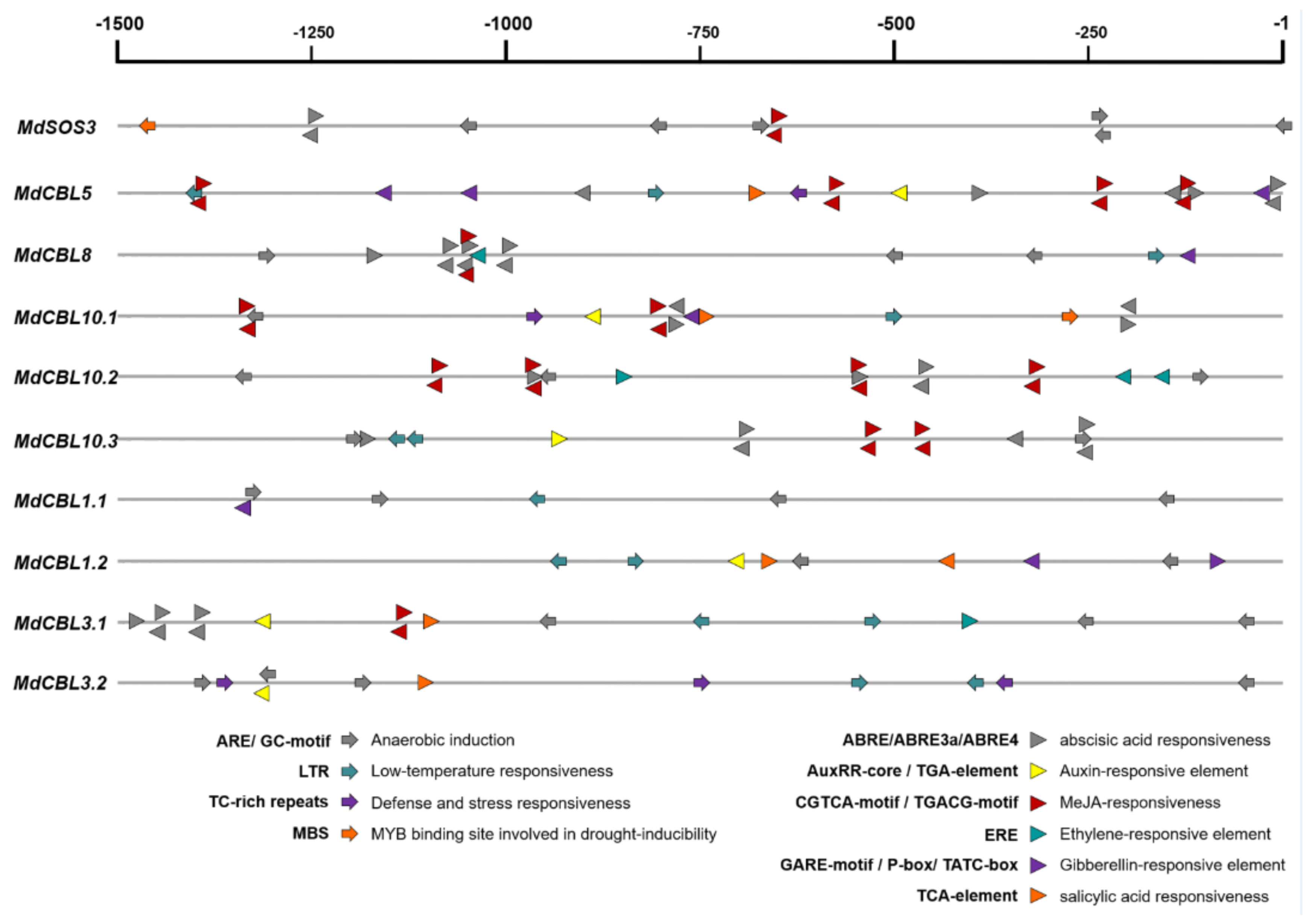 Ijms 22 12430 g003 550