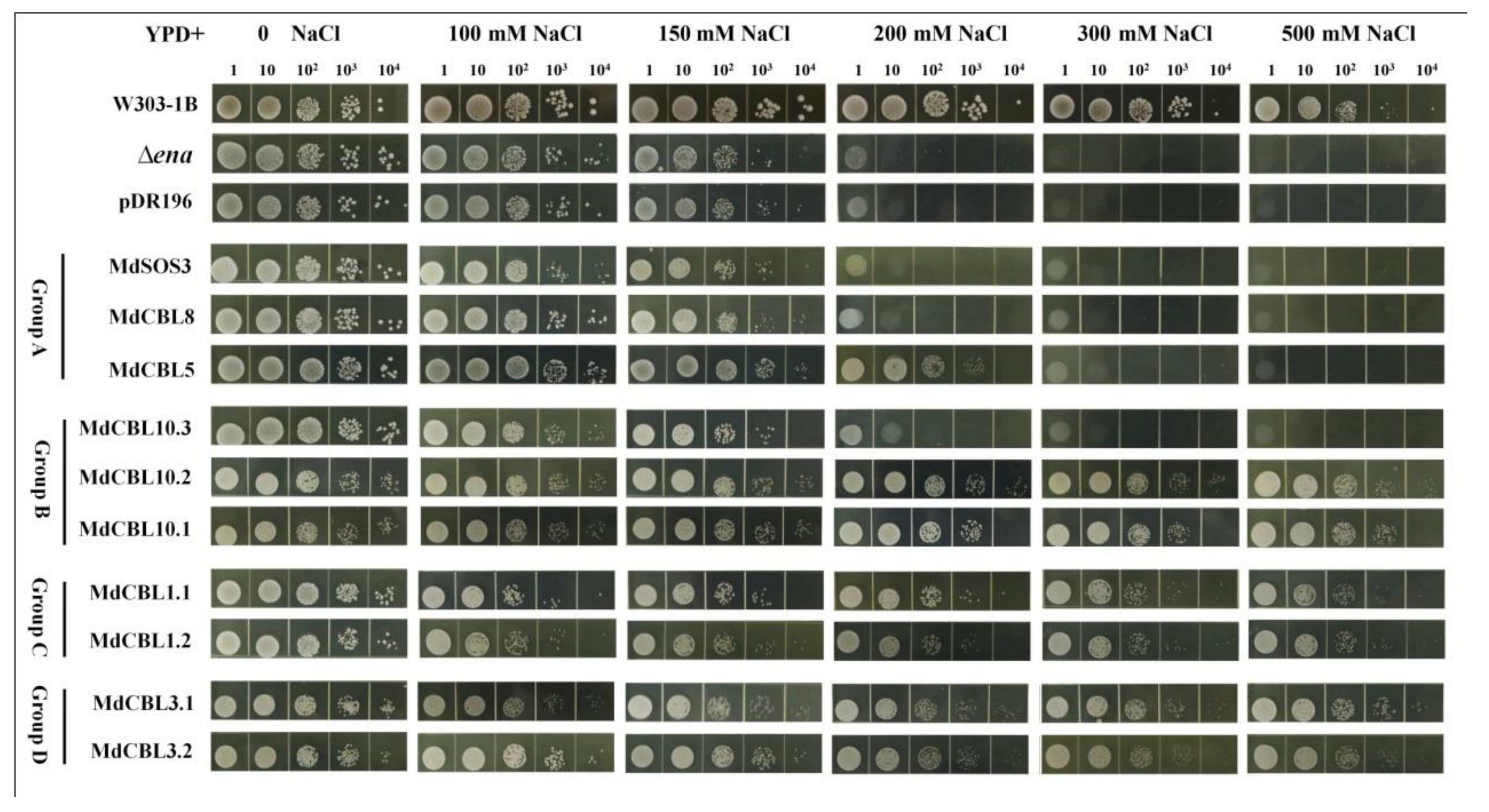 Ijms 22 12430 g004 550