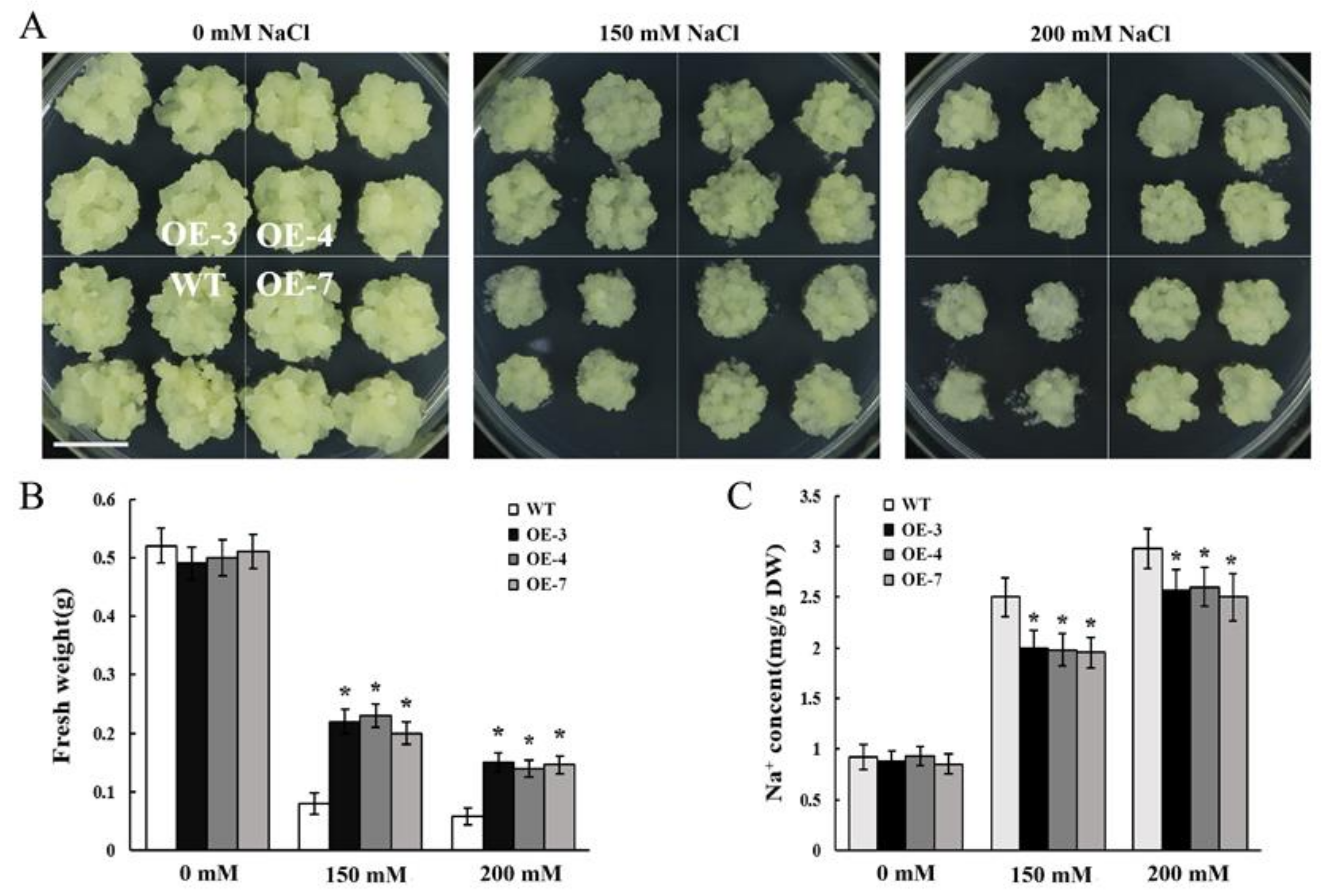 Ijms 22 12430 g005 550