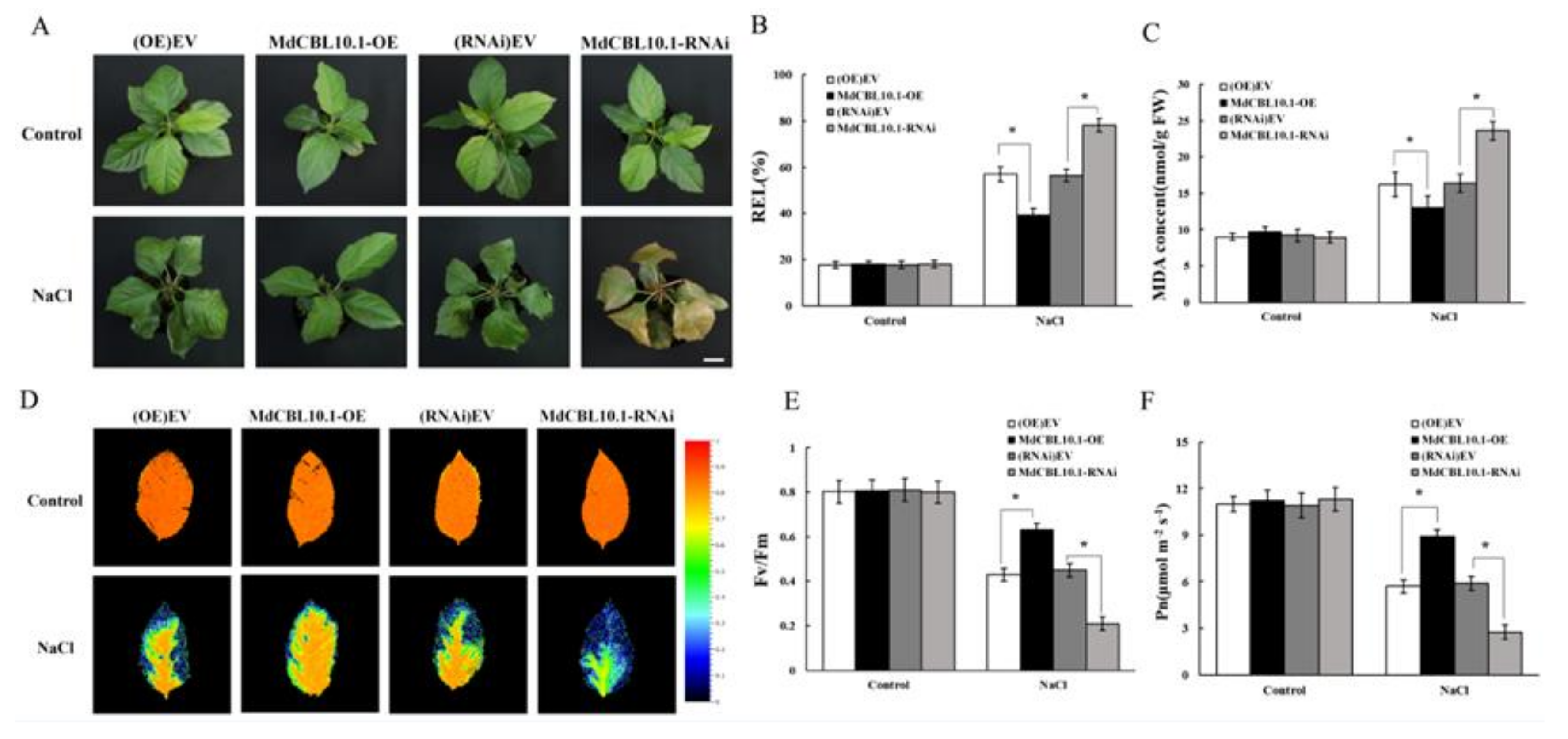 Ijms 22 12430 g006 550