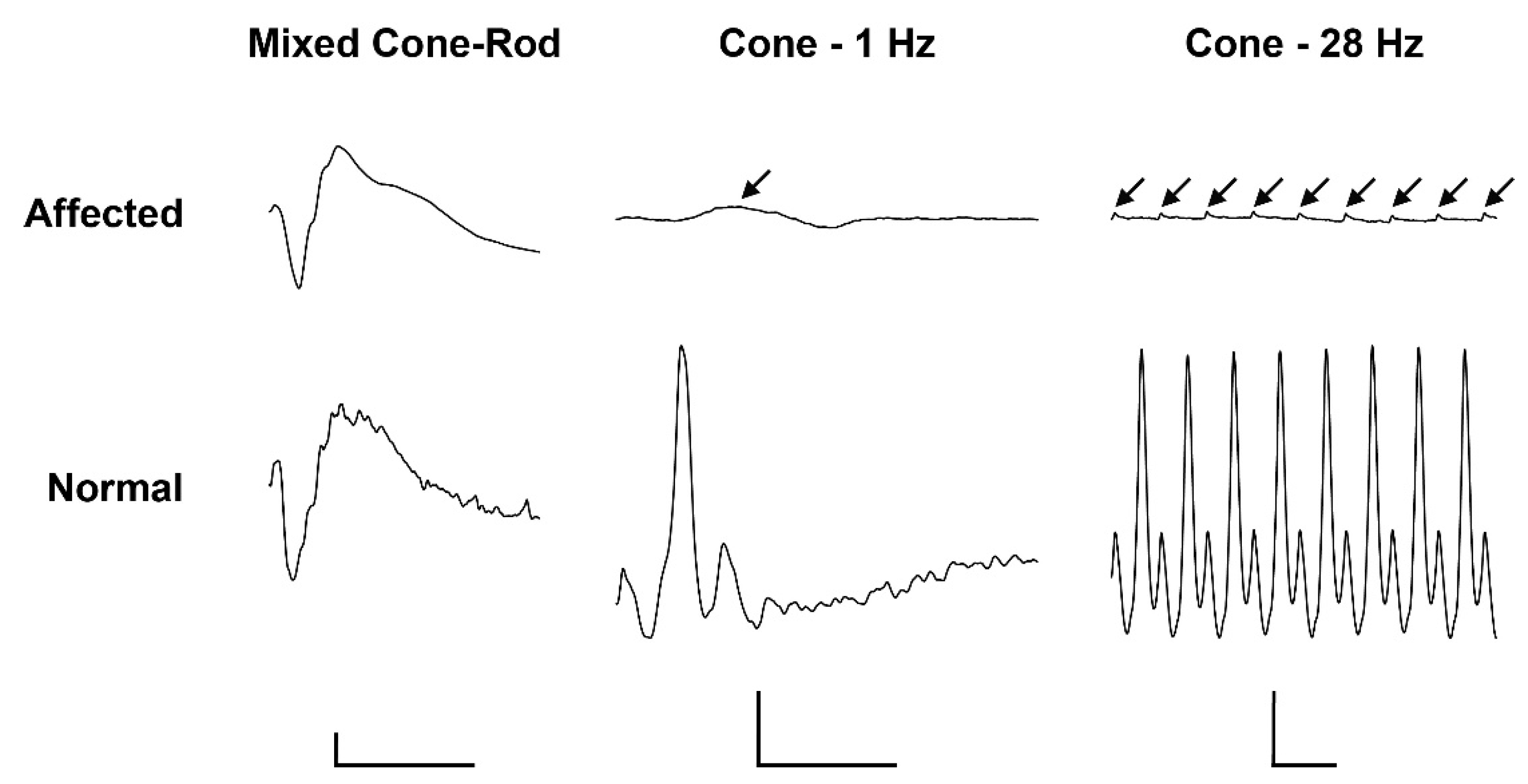 Ijms 22 12440 g001 550