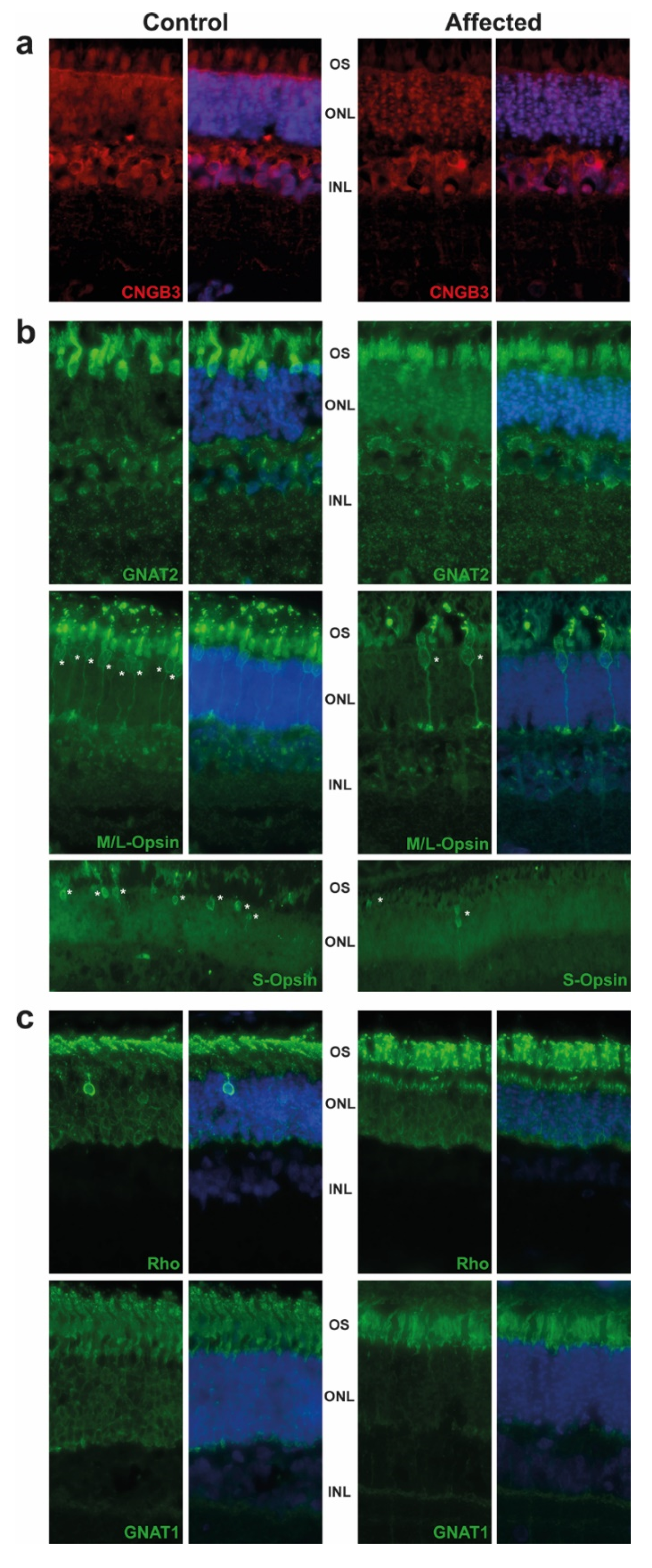 Ijms 22 12440 g002 550