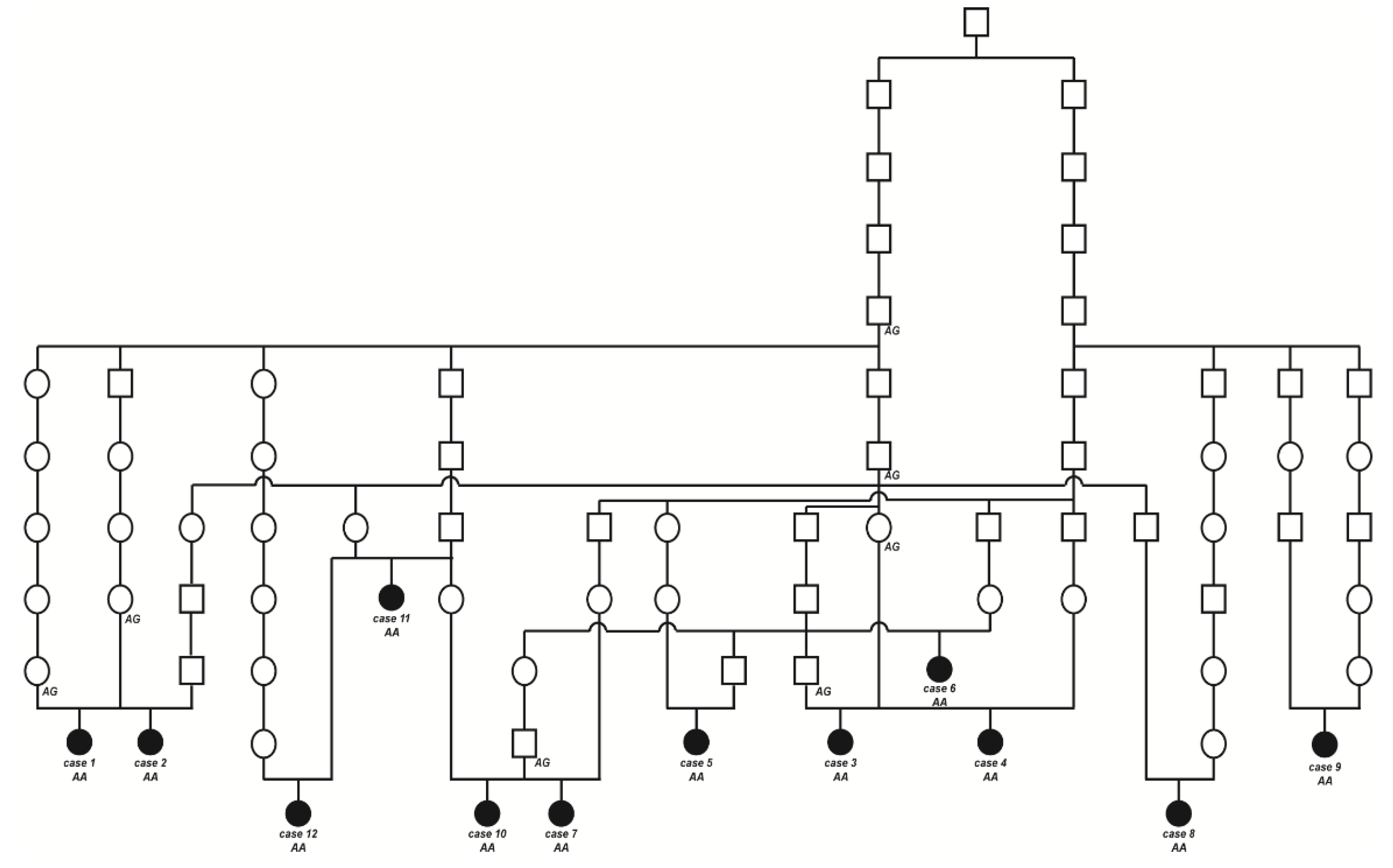 Ijms 22 12440 g003 550