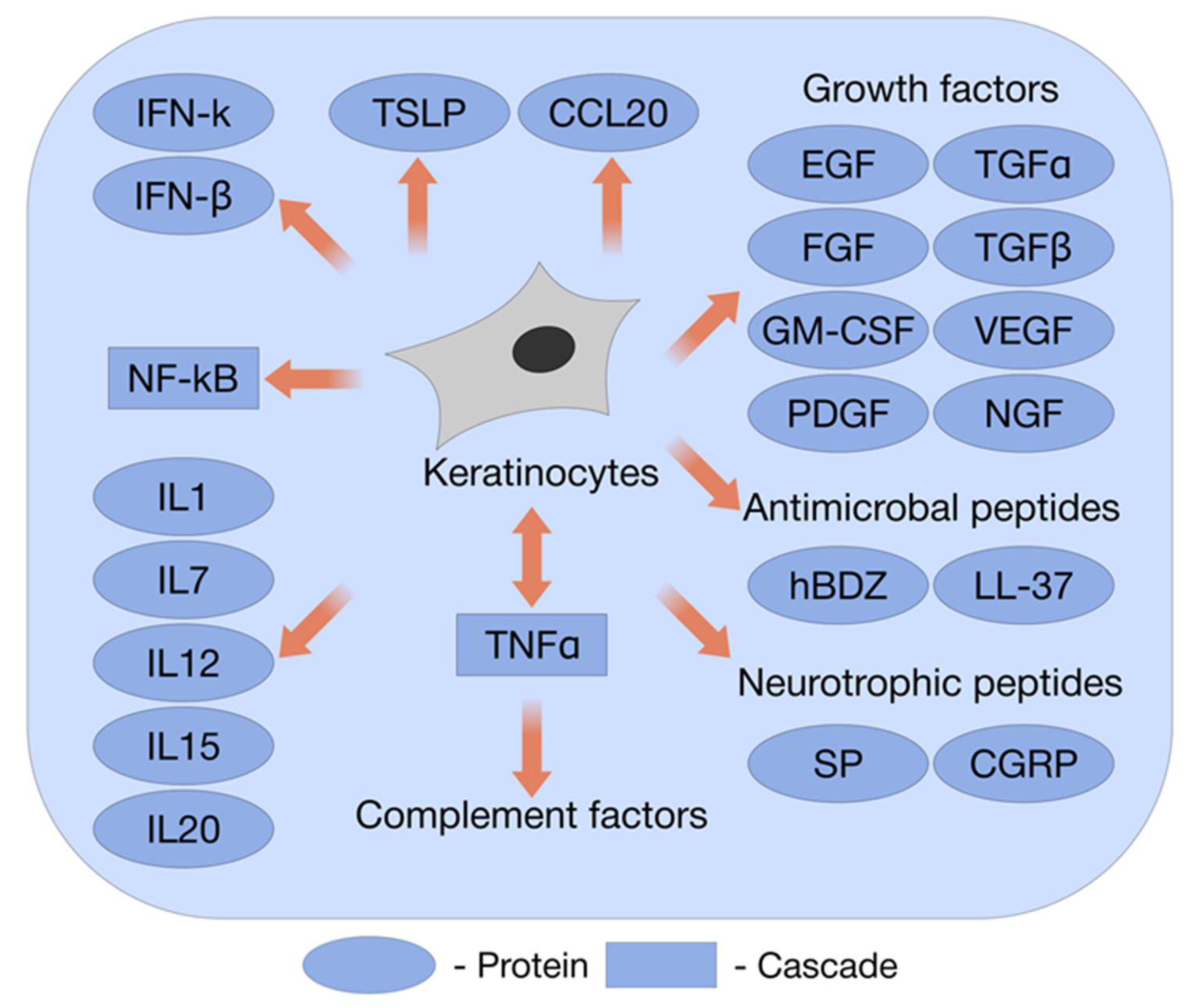 Ijms 22 12446 g001 Ijms 22 12446 g001