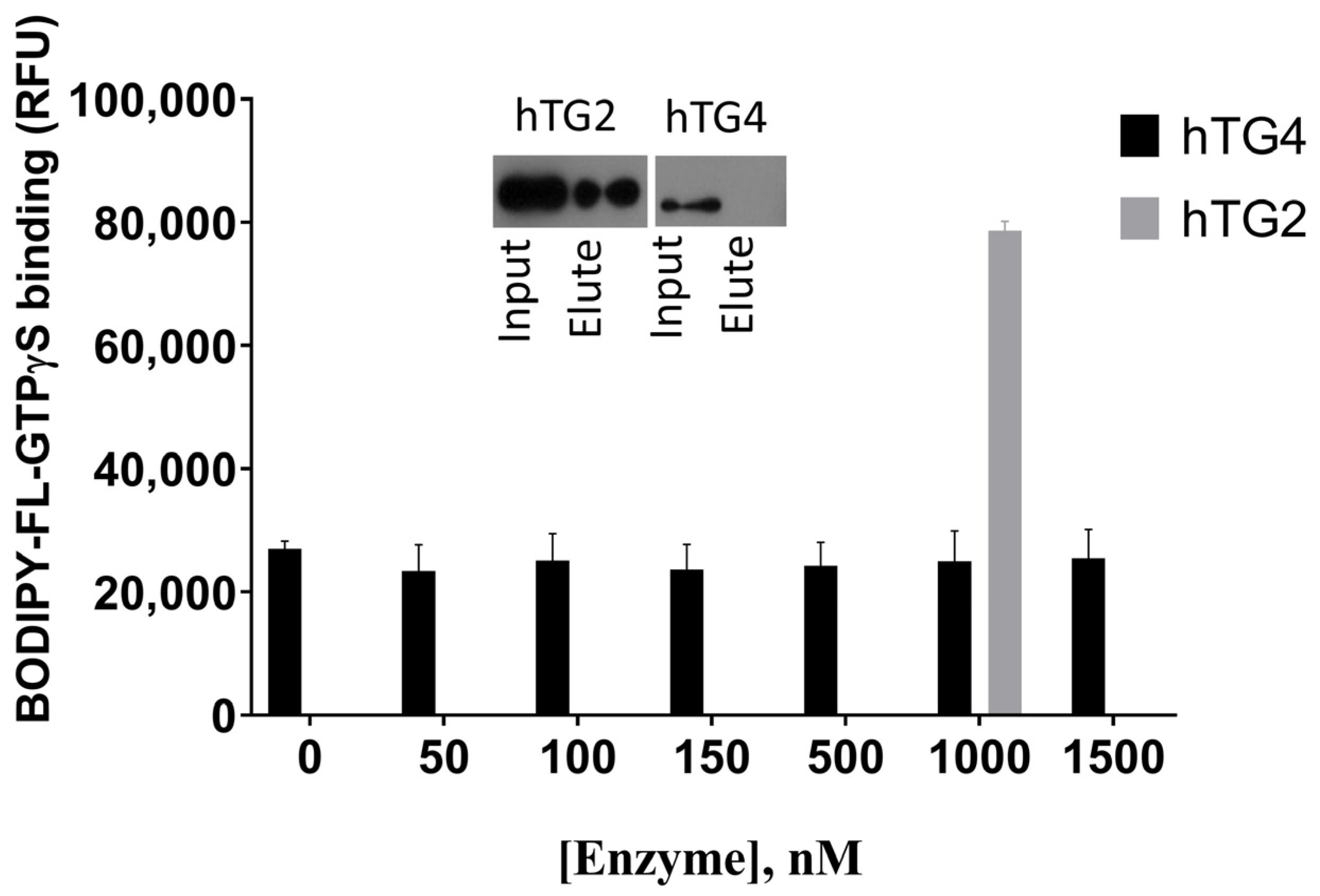 Ijms 22 12448 g004 550