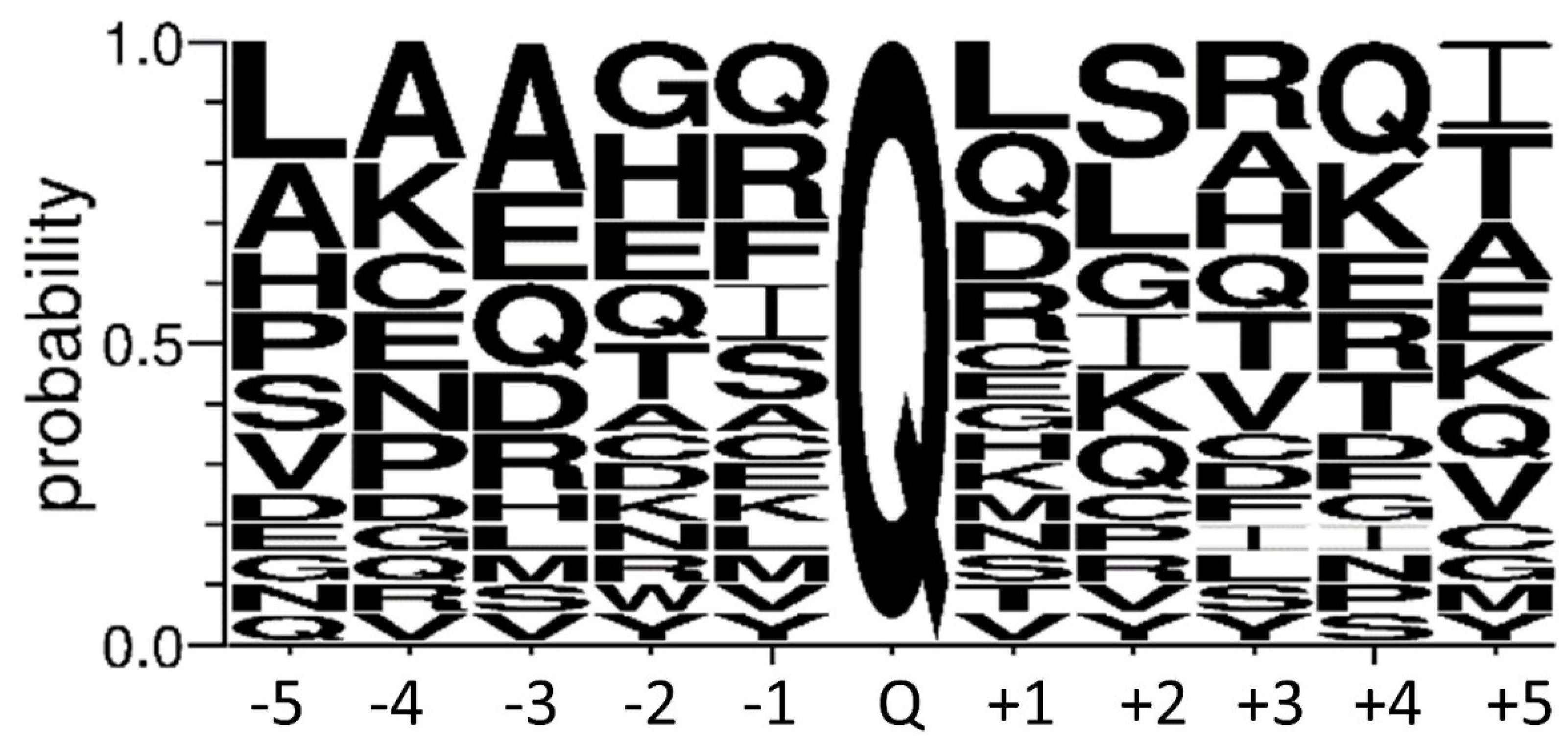 Ijms 22 12448 g007 550