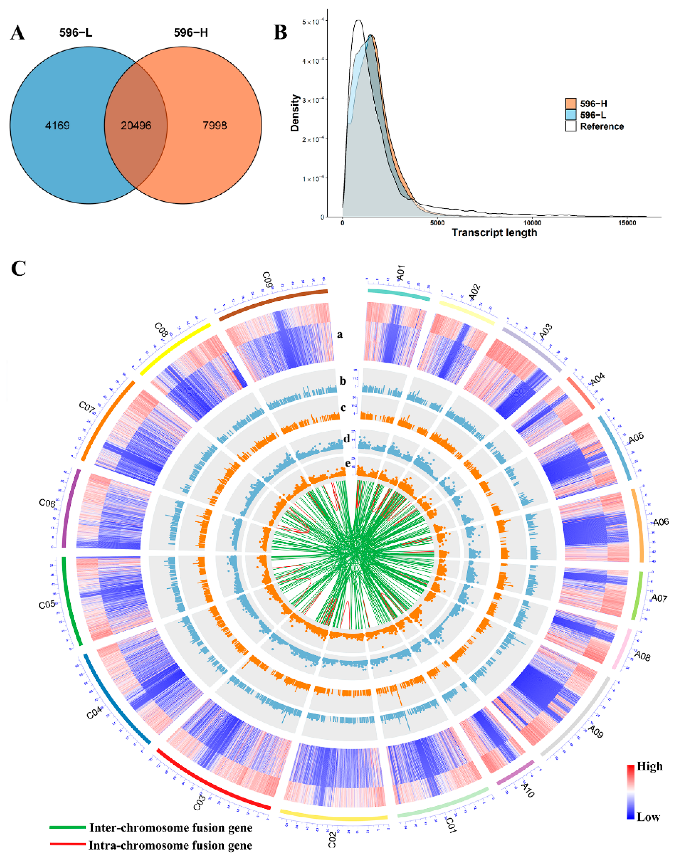 Molecular Analysis Uncovers the Mechanism of Fertility