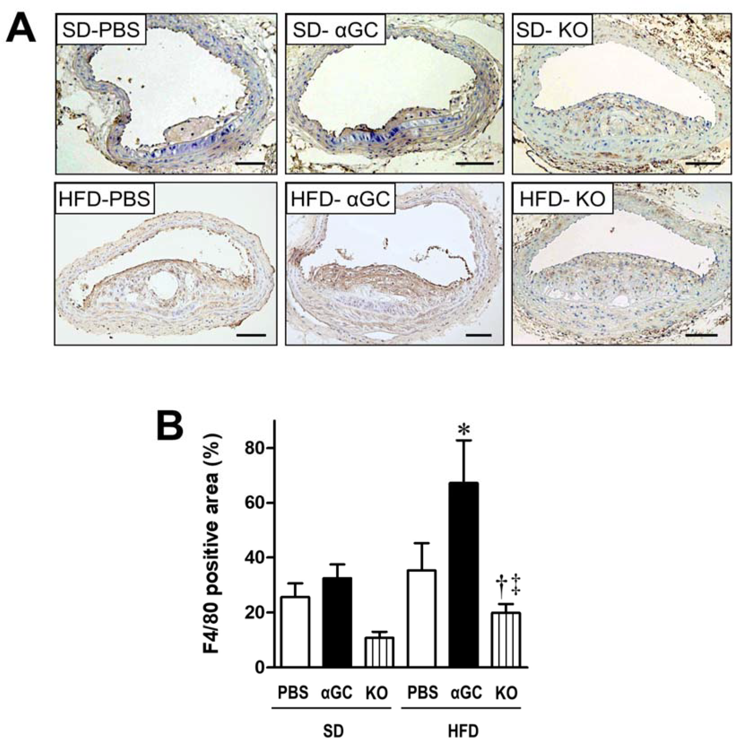 Ijms 22 12451 g004 550