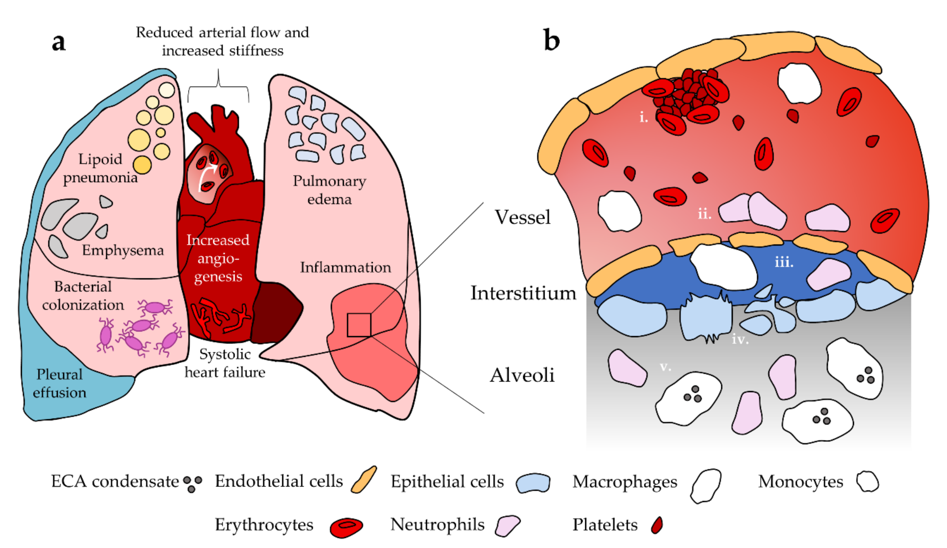 Ijms 22 12452 g001 550