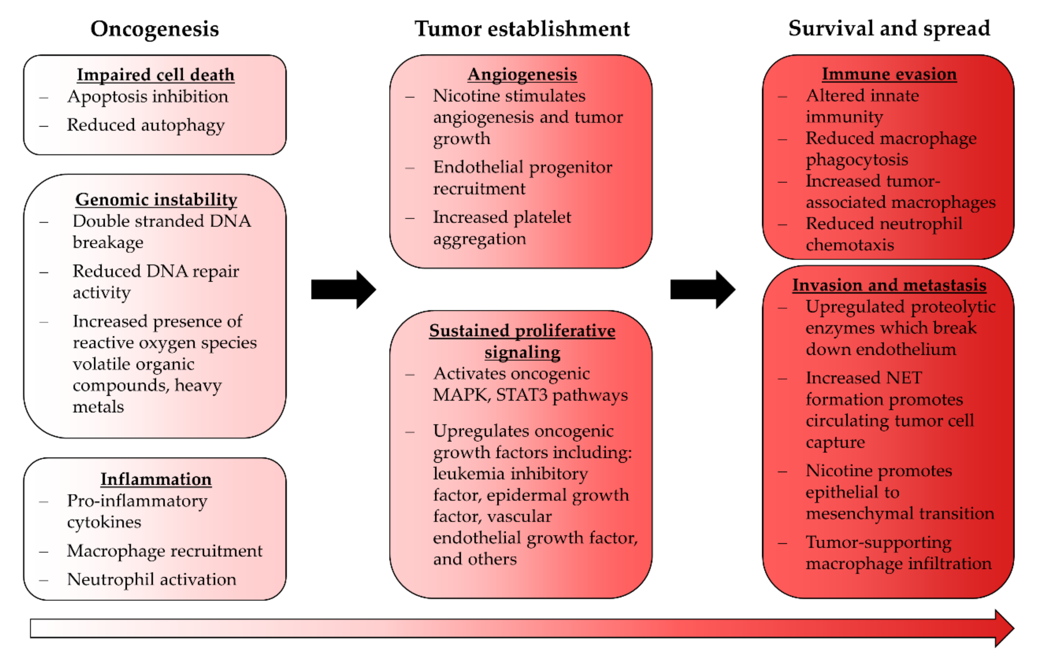 Ijms 22 12452 g002 550