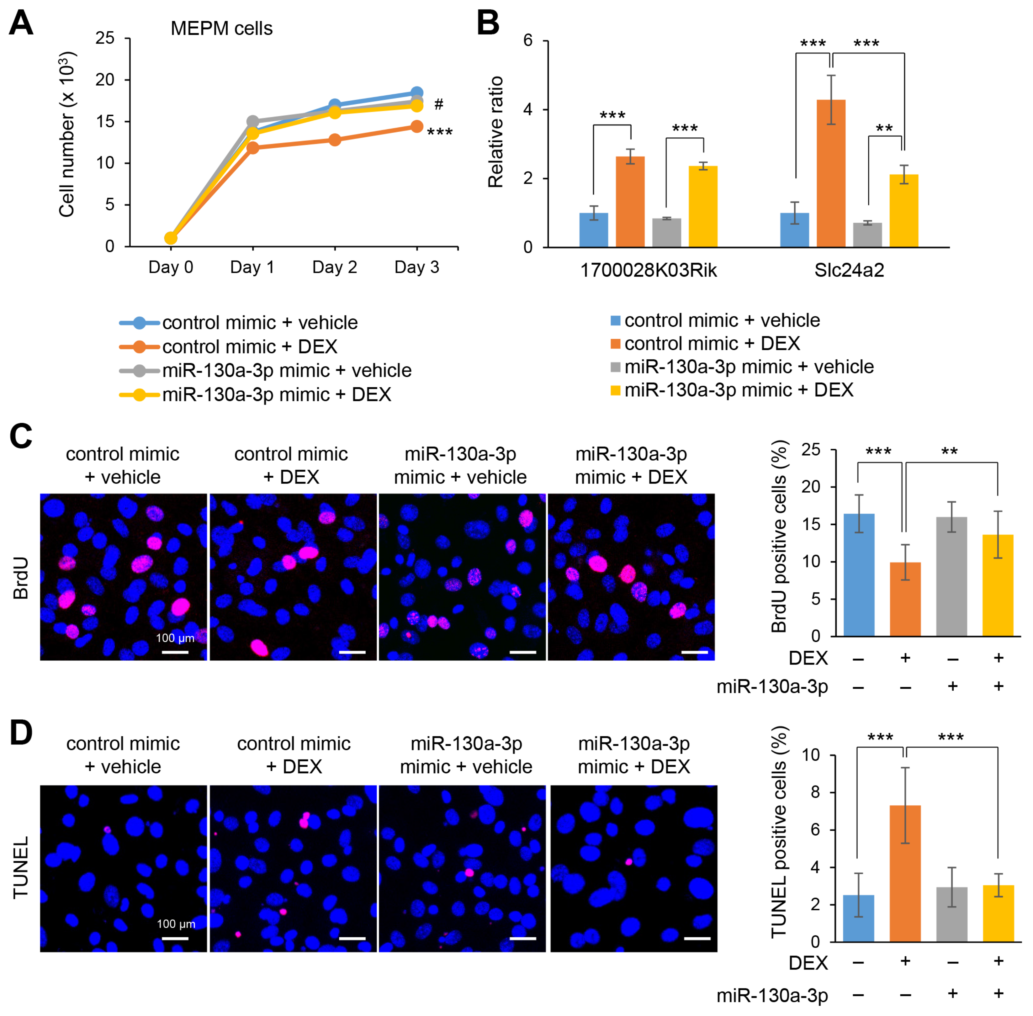Ijms 22 12453 g004 550