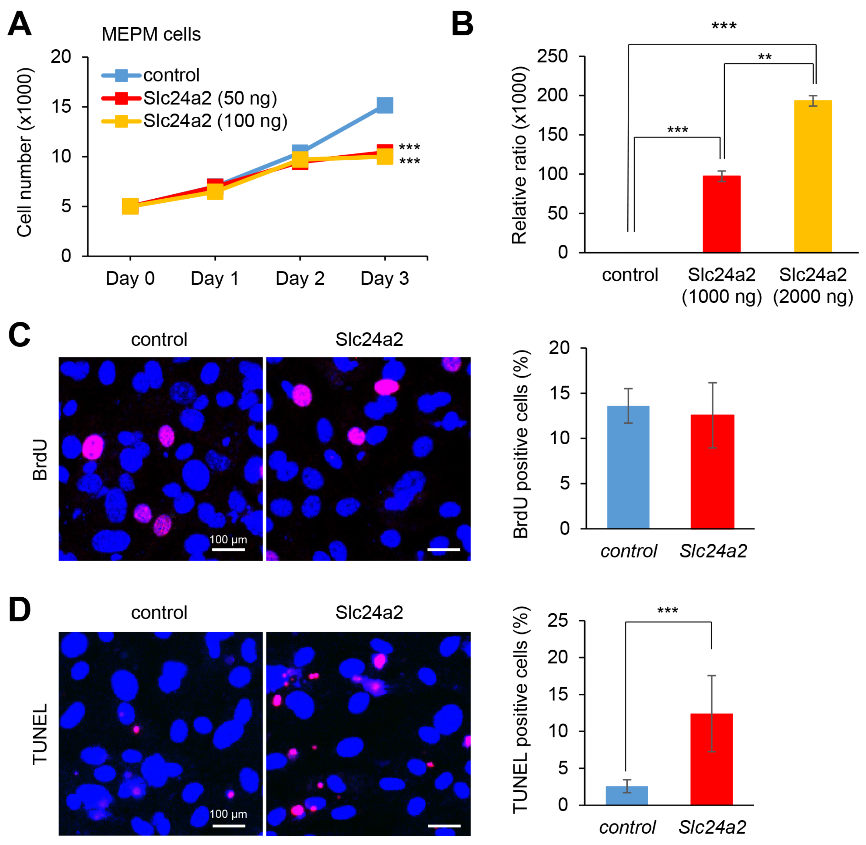 Ijms 22 12453 g005 550