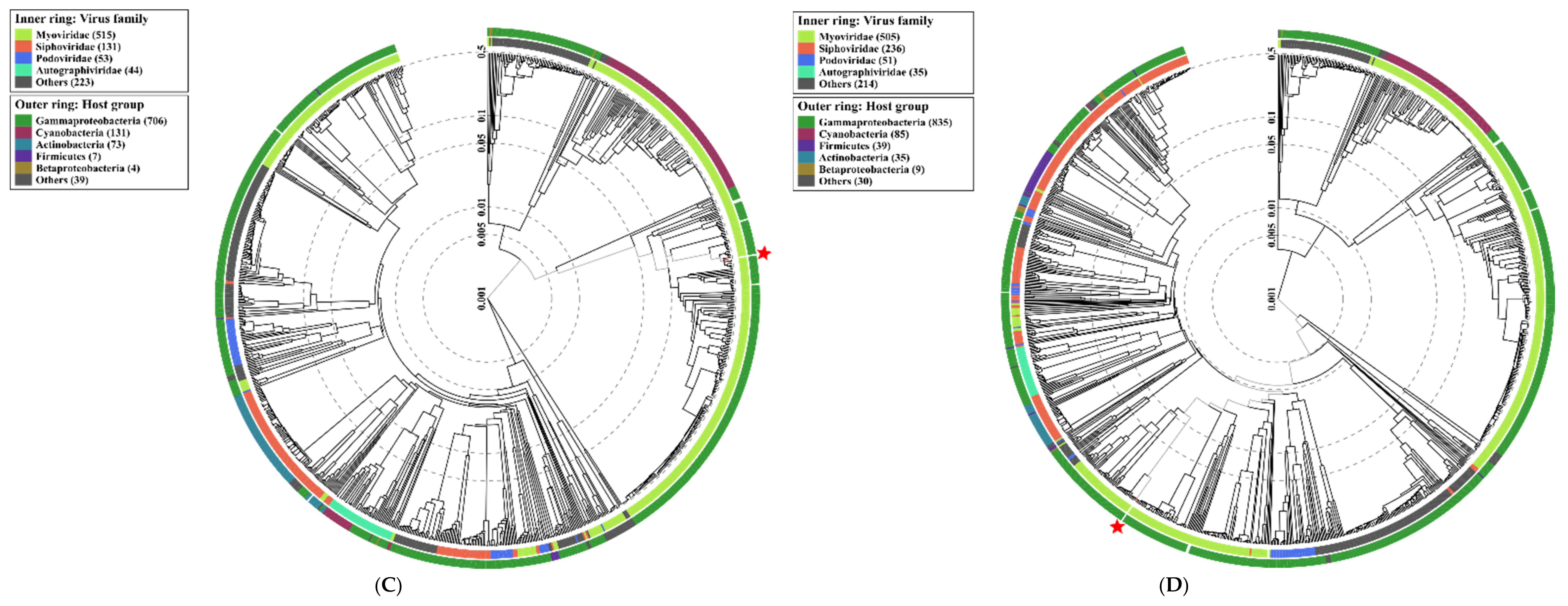 Ijms 22 12460 g005b Ijms 22 12460 g005b