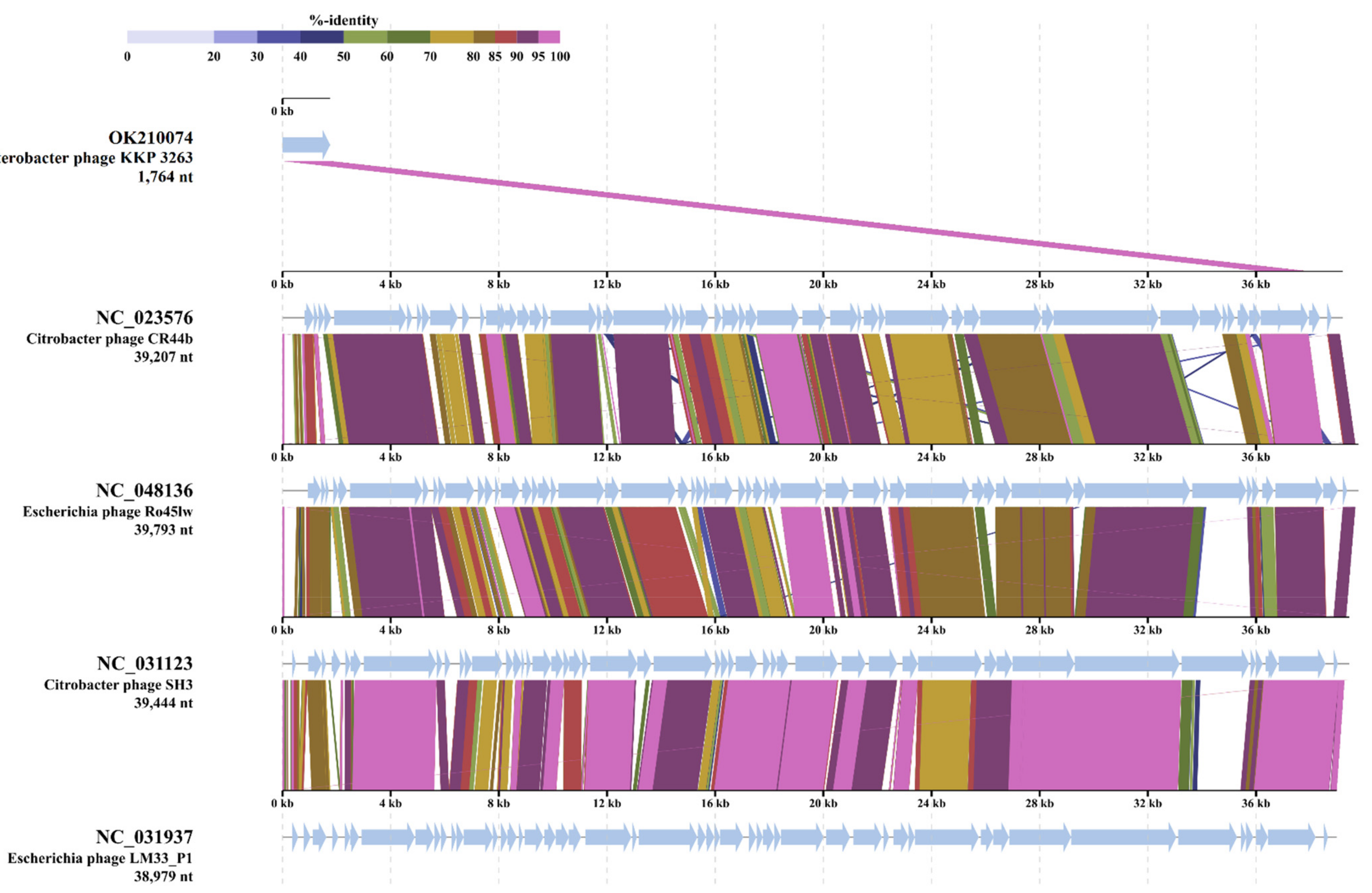 Ijms 22 12460 g007 Ijms 22 12460 g007