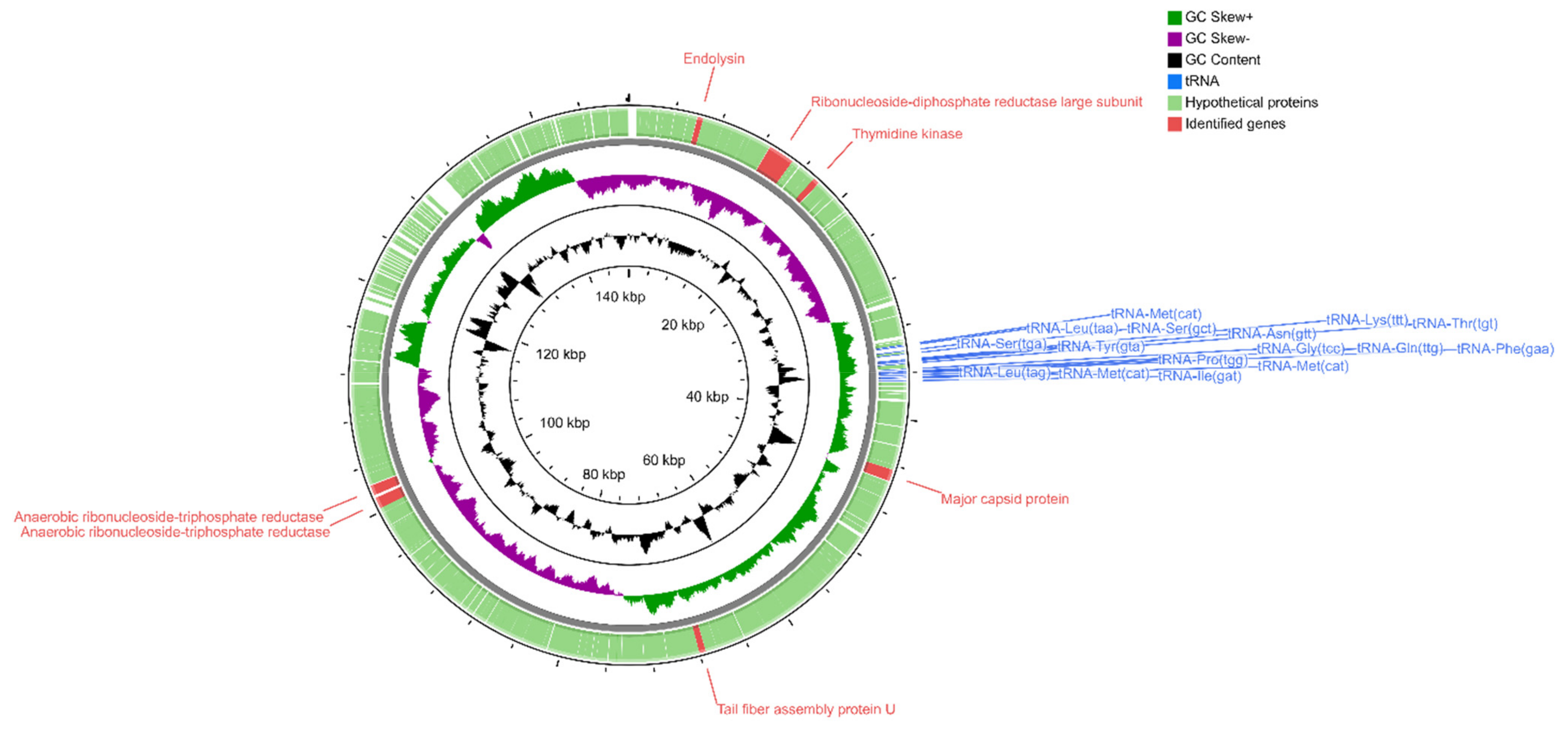 Ijms 22 12460 g008 Ijms 22 12460 g008
