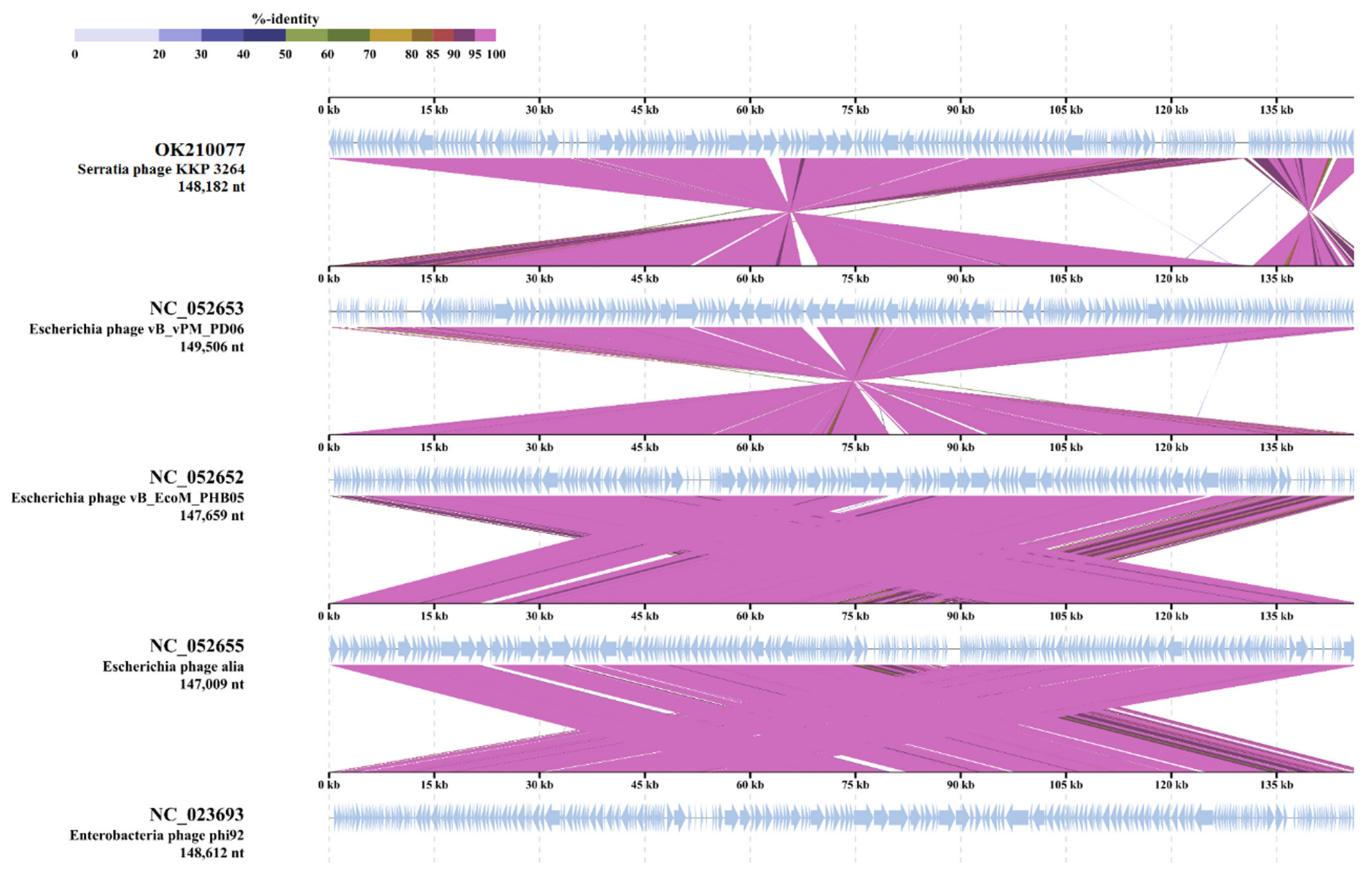 Ijms 22 12460 g009 Ijms 22 12460 g009