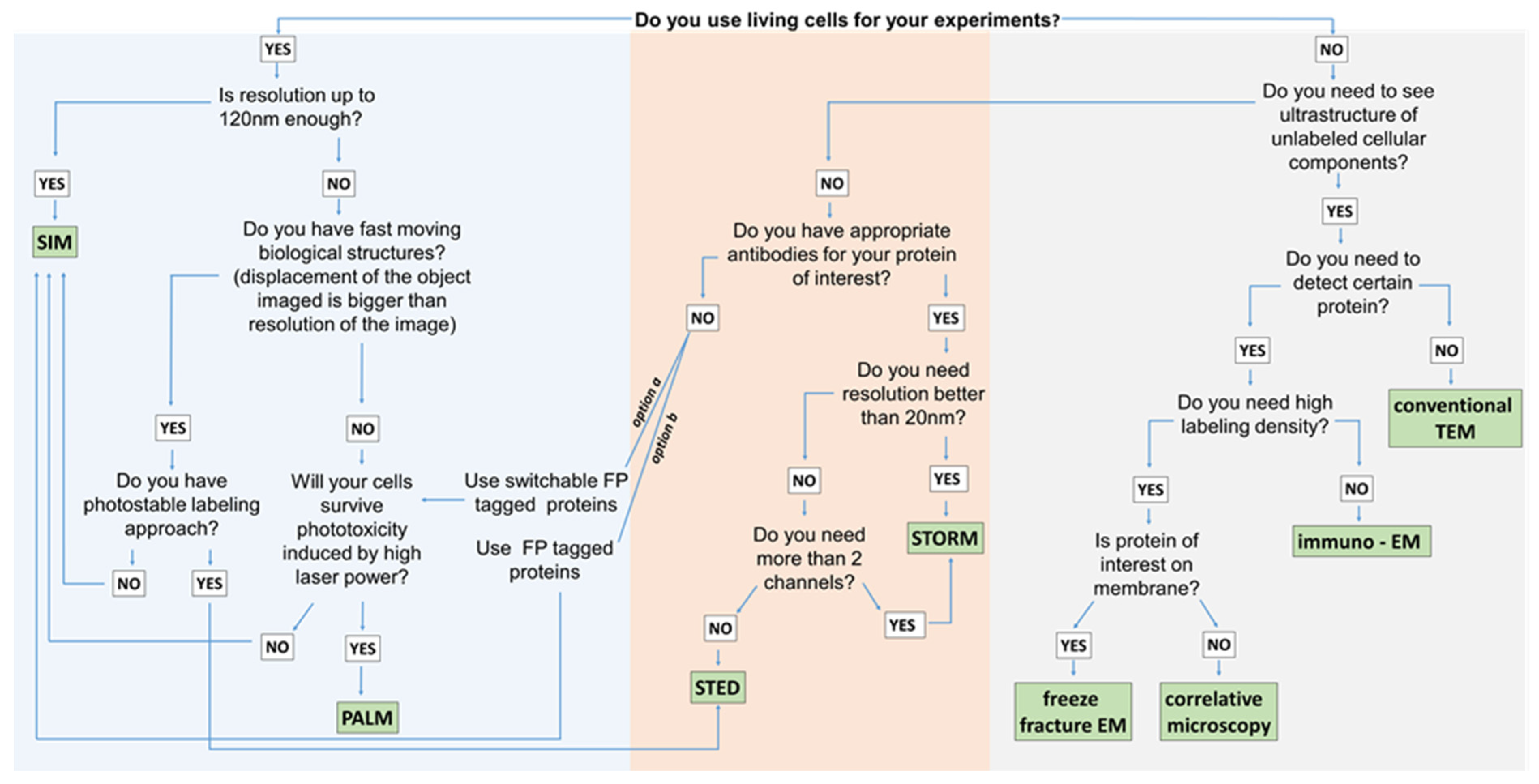 Ijms 22 12470 g003 550