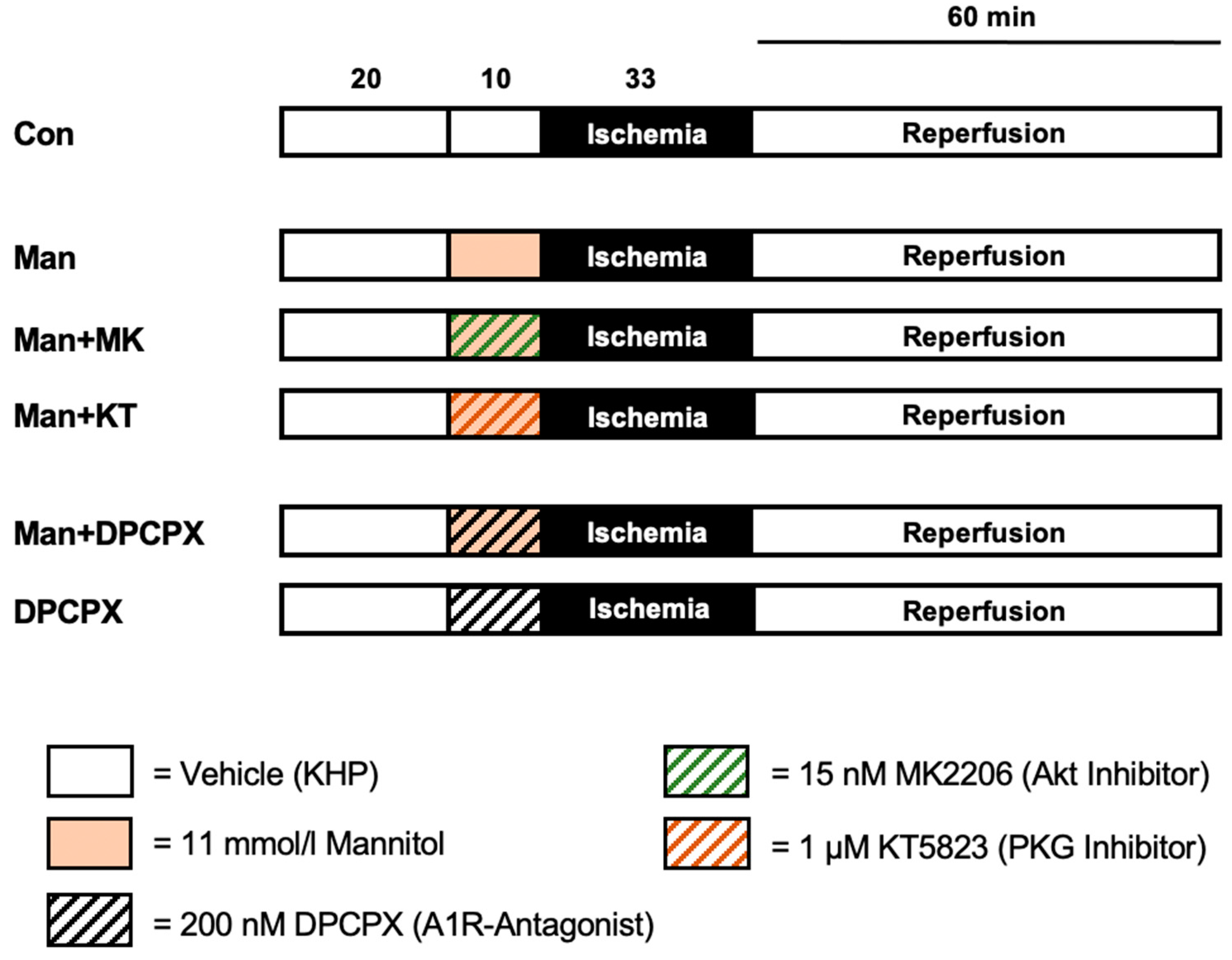 Ijms 22 12471 g002 550