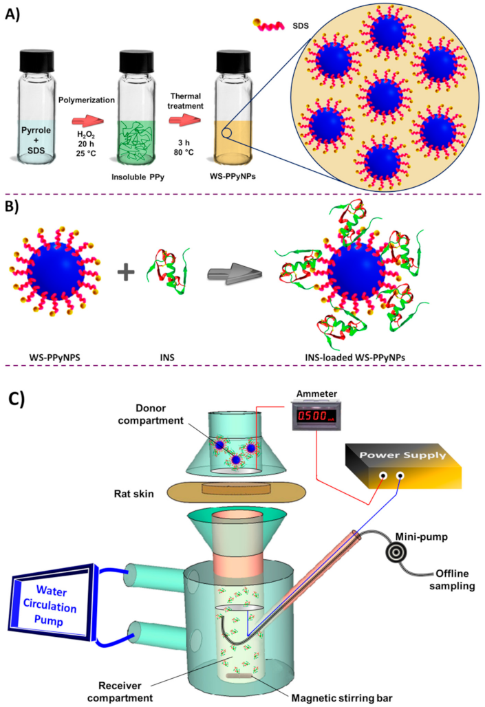 Ijms 22 12479 g001 550