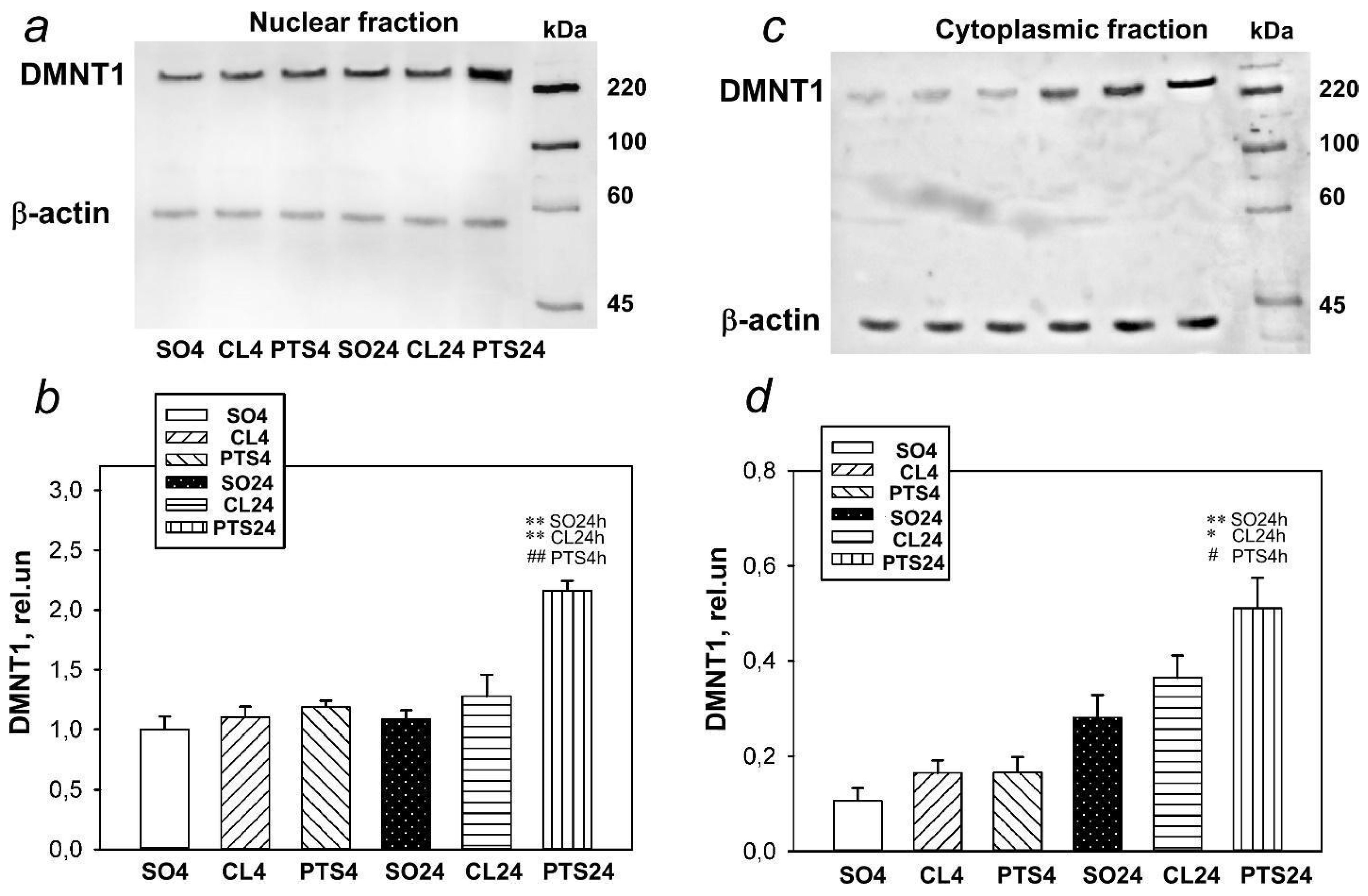 DNA / SCATTER THE BRAIN ジャパメタ VIRUS Genomic Mosaicism Formed by Somatic Variation in the Aging