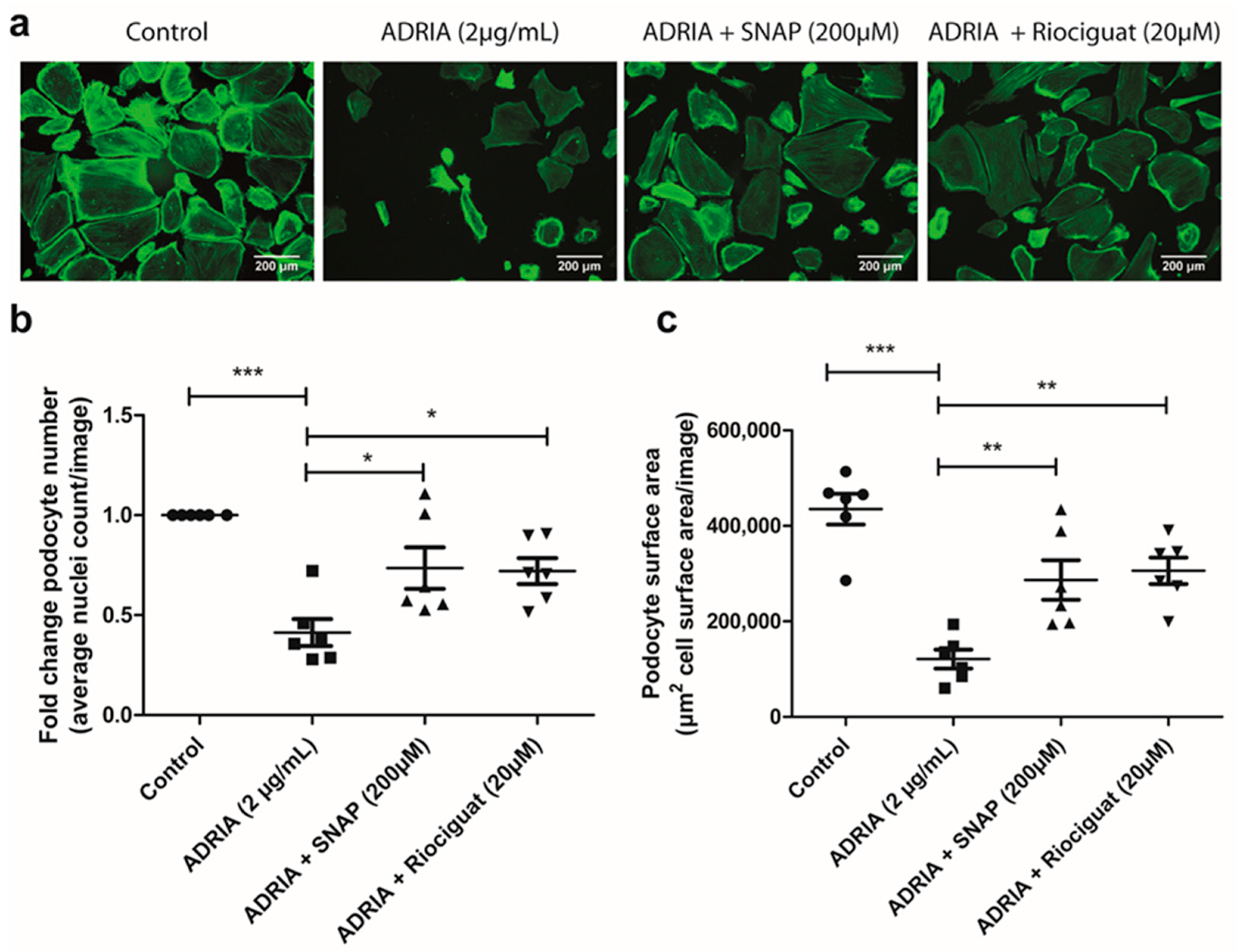 Ijms 22 12485 g005 550