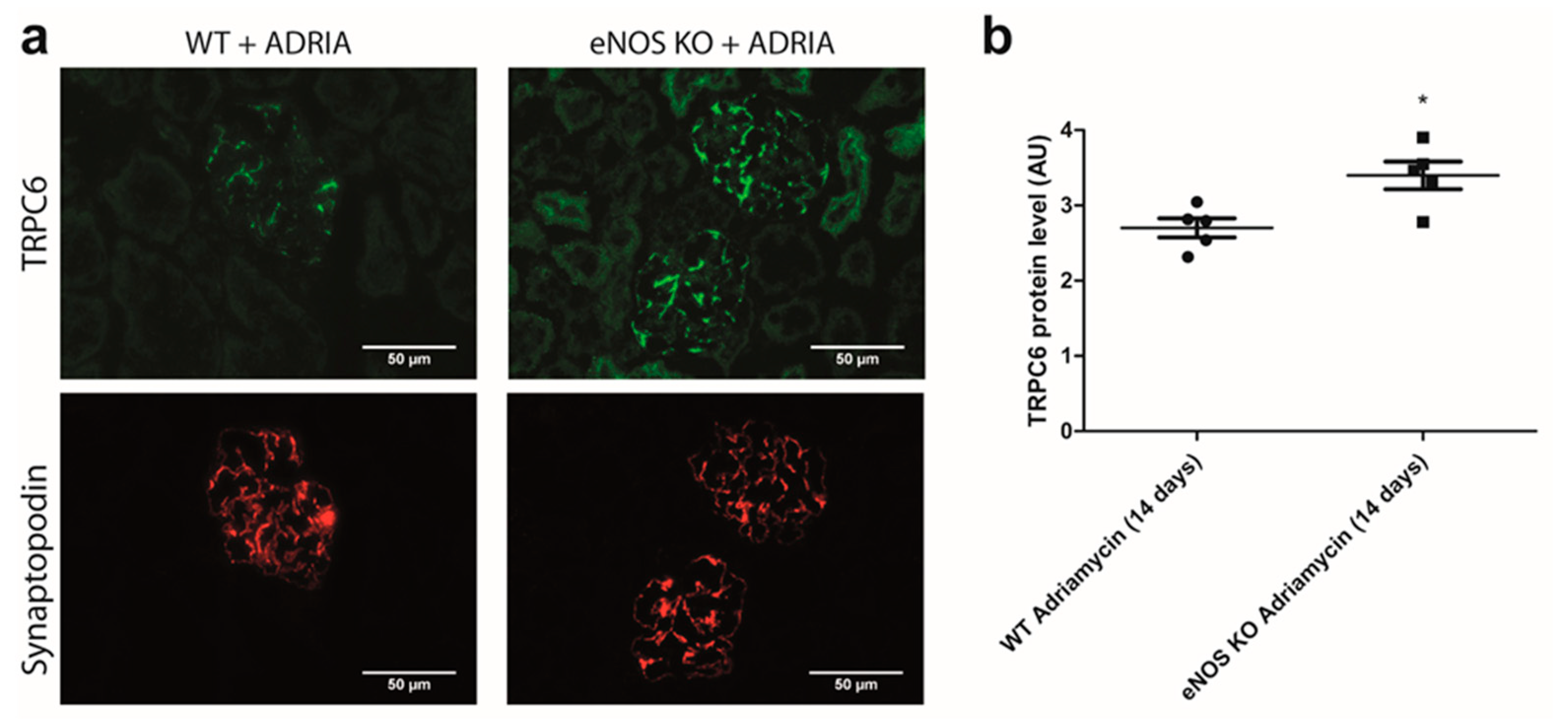 Ijms 22 12485 g008 550