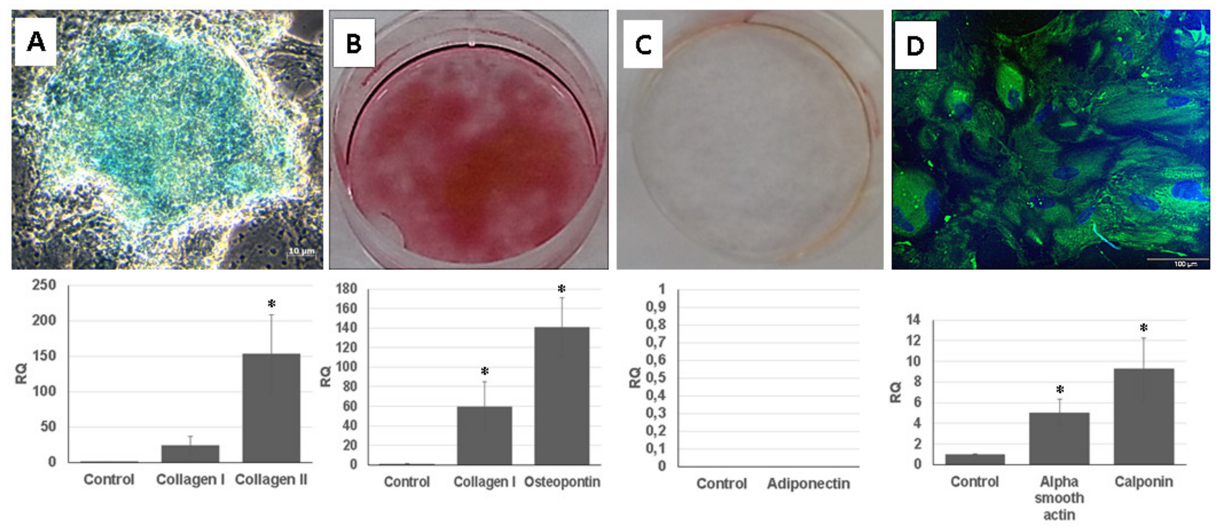 Ijms 22 12503 g005 550
