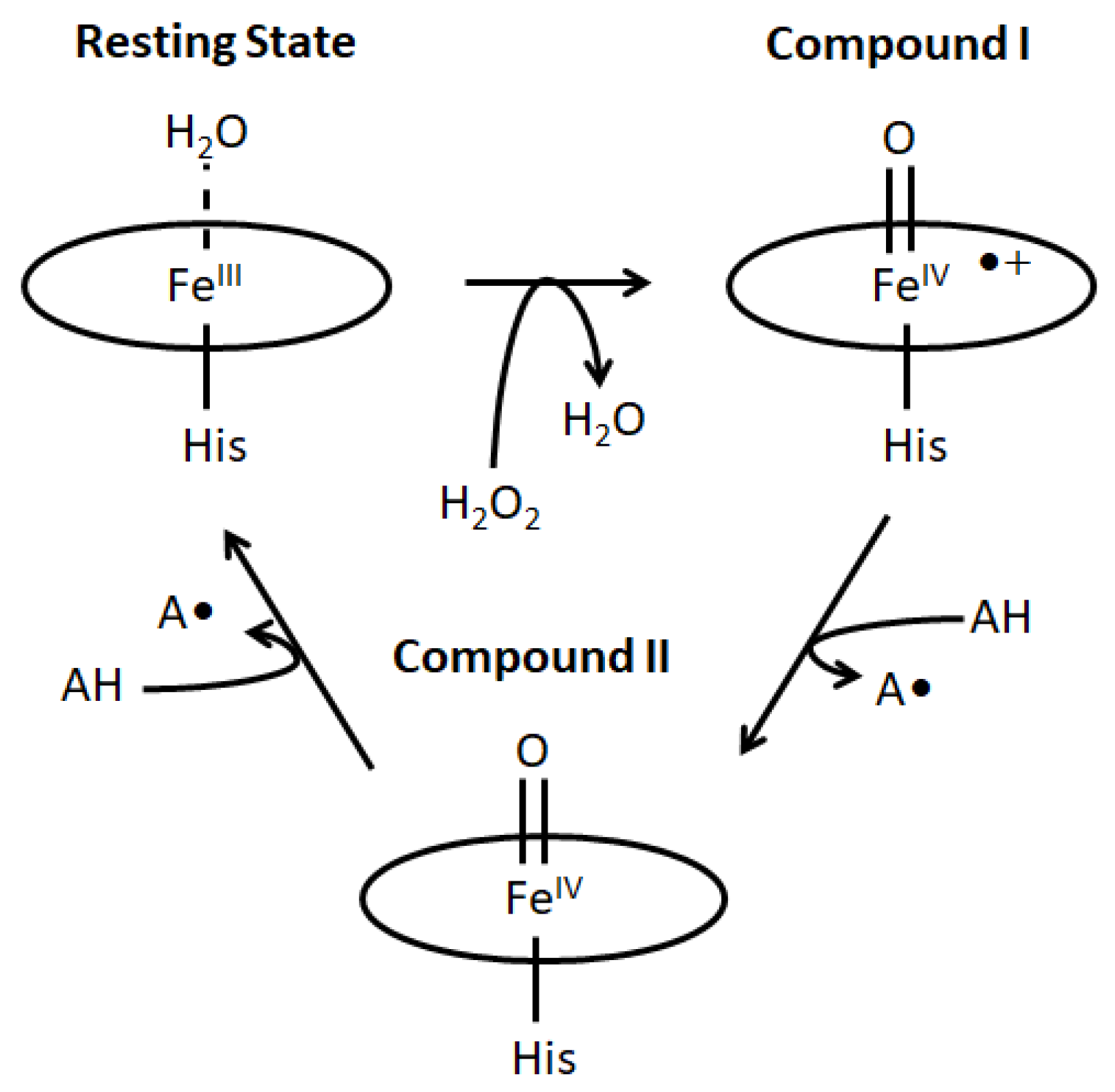 Ijms 22 12532 sch001