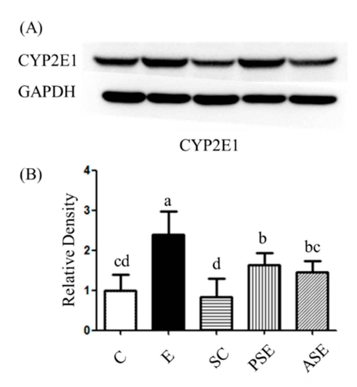 Ijms 22 12547 g002 550