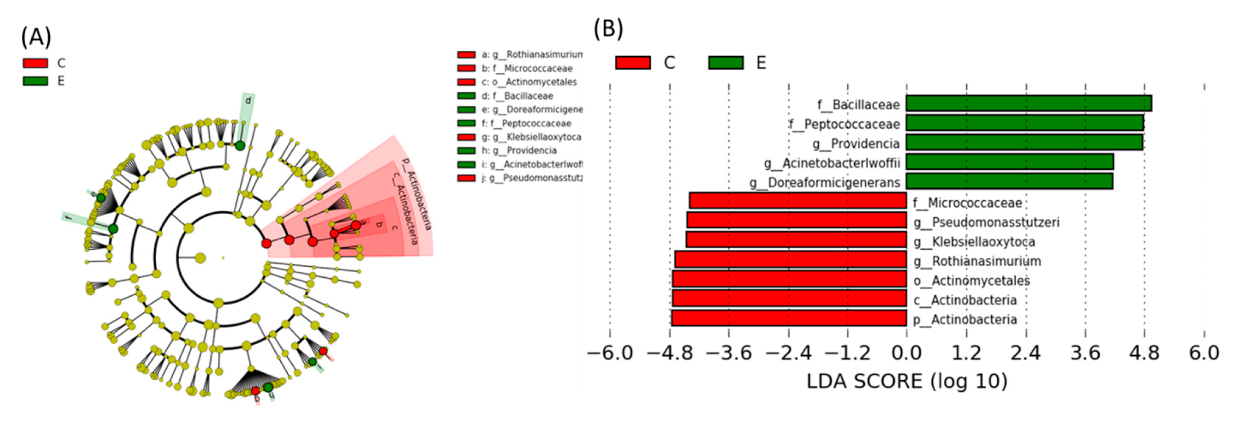 Ijms 22 12547 g006 550