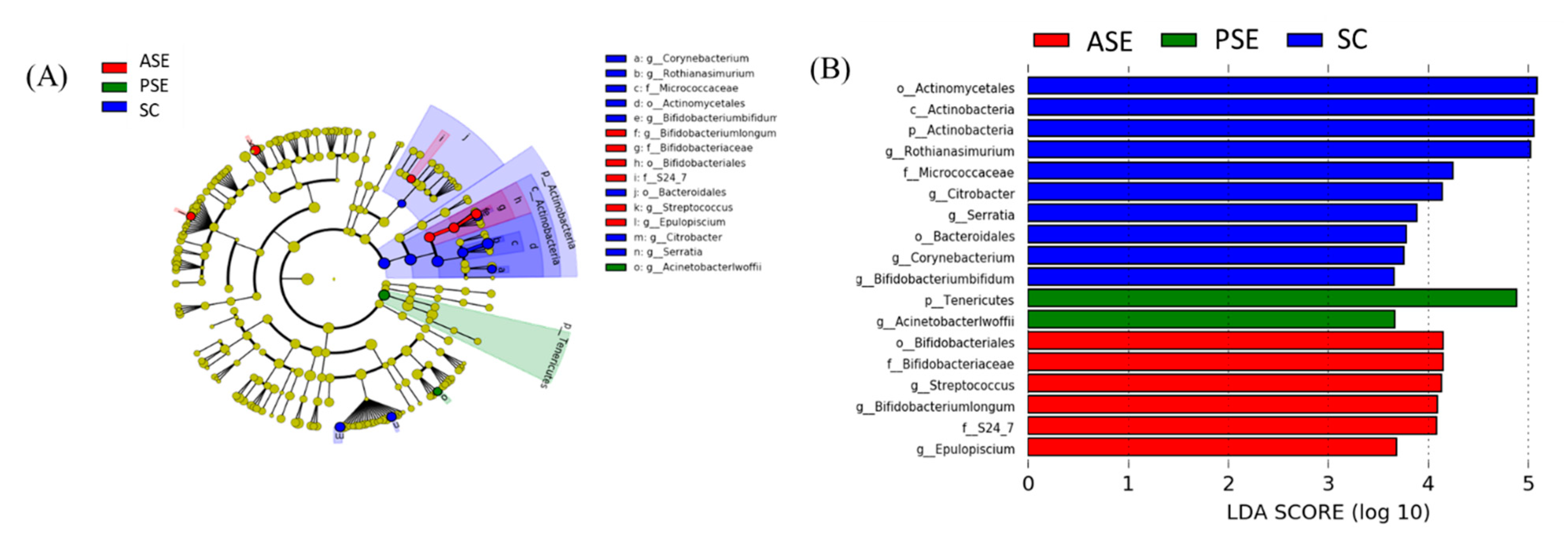 Ijms 22 12547 g007 550