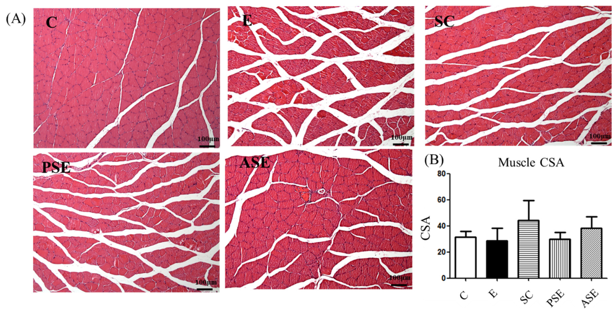 Ijms 22 12547 g008 550