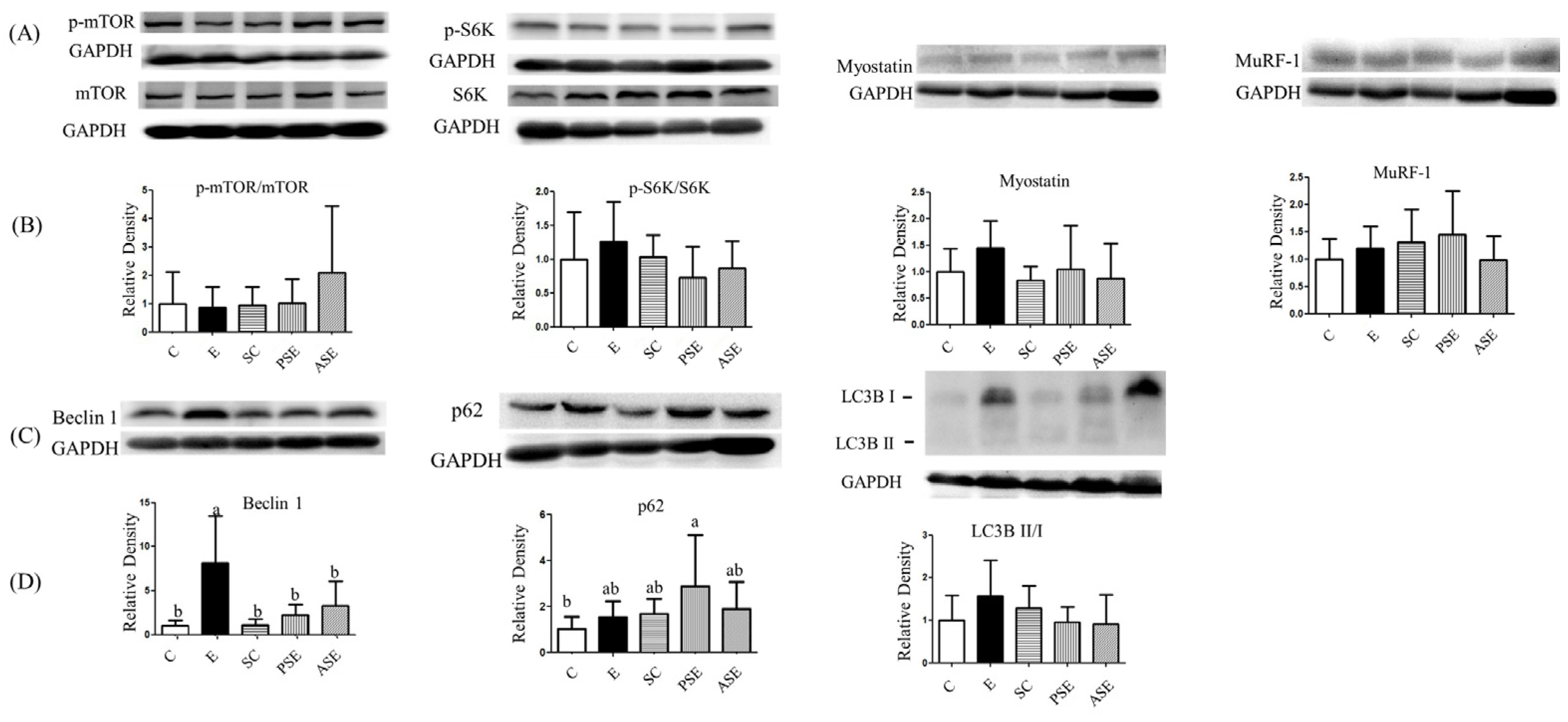 Ijms 22 12547 g009 550