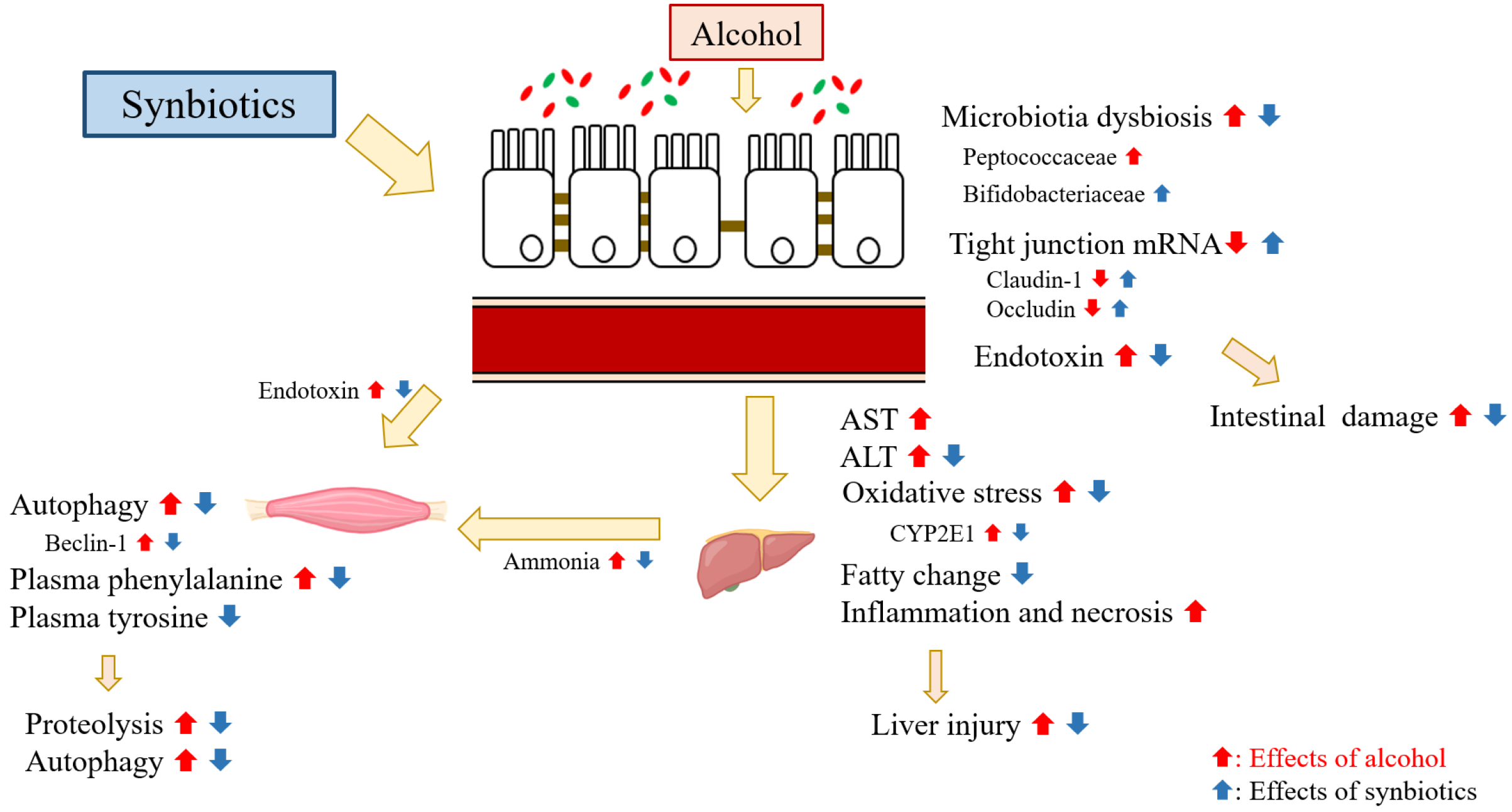 Ijms 22 12547 g010 550