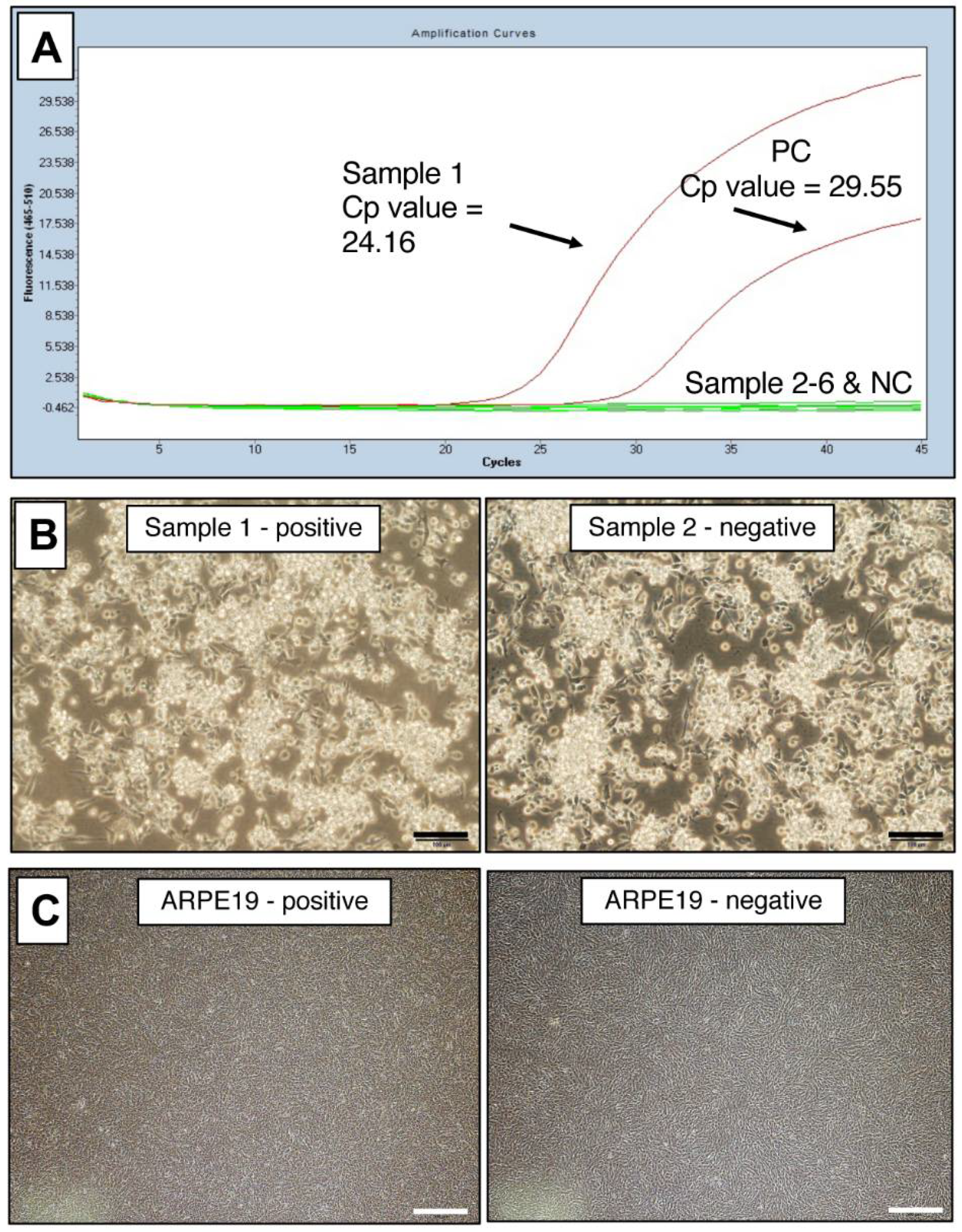 Ijms 22 12555 g003 550