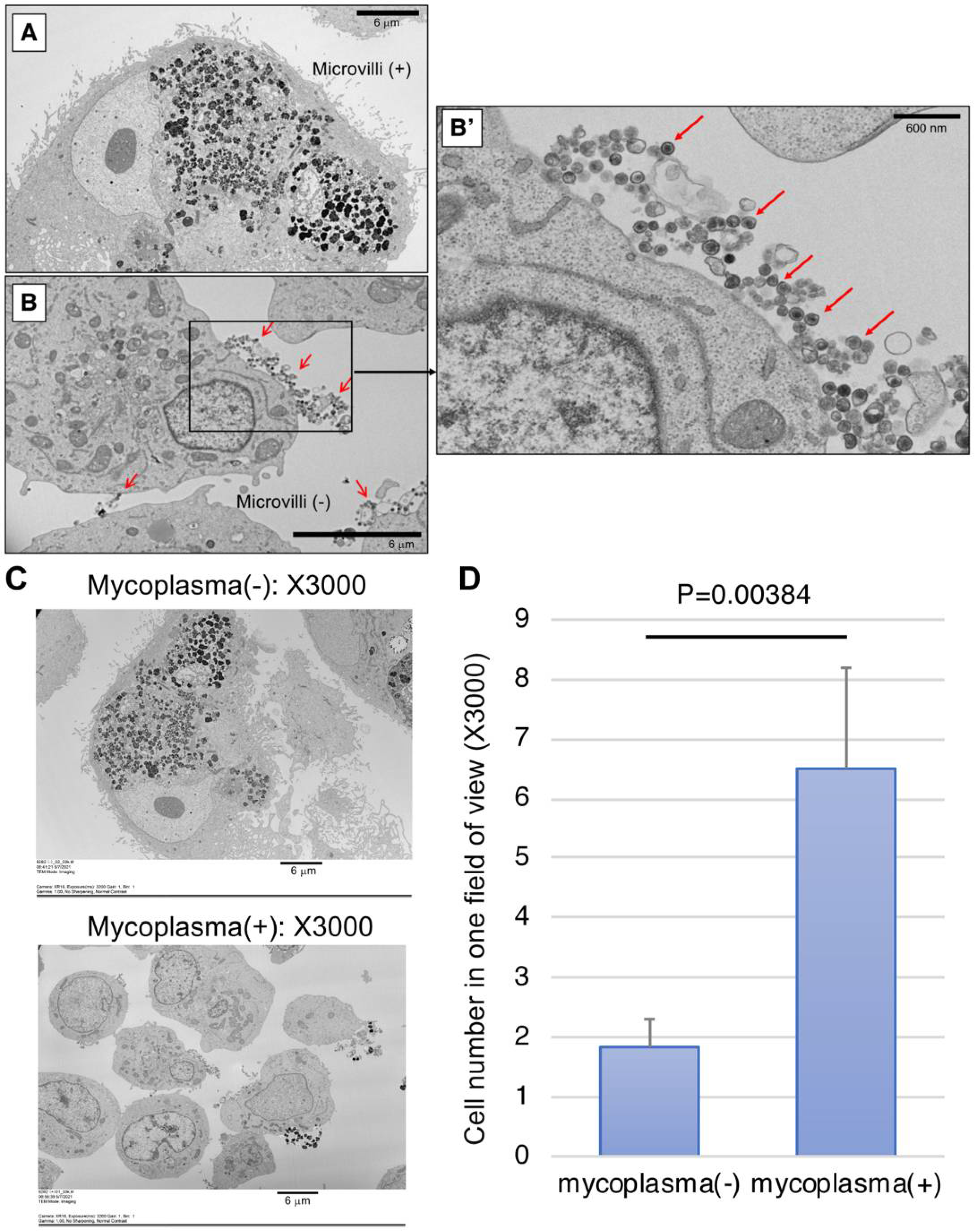 Ijms 22 12555 g004 550