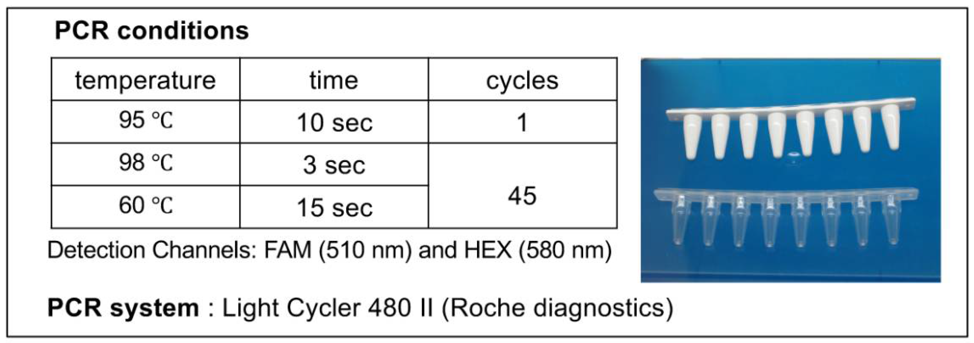 Ijms 22 12555 g005 550