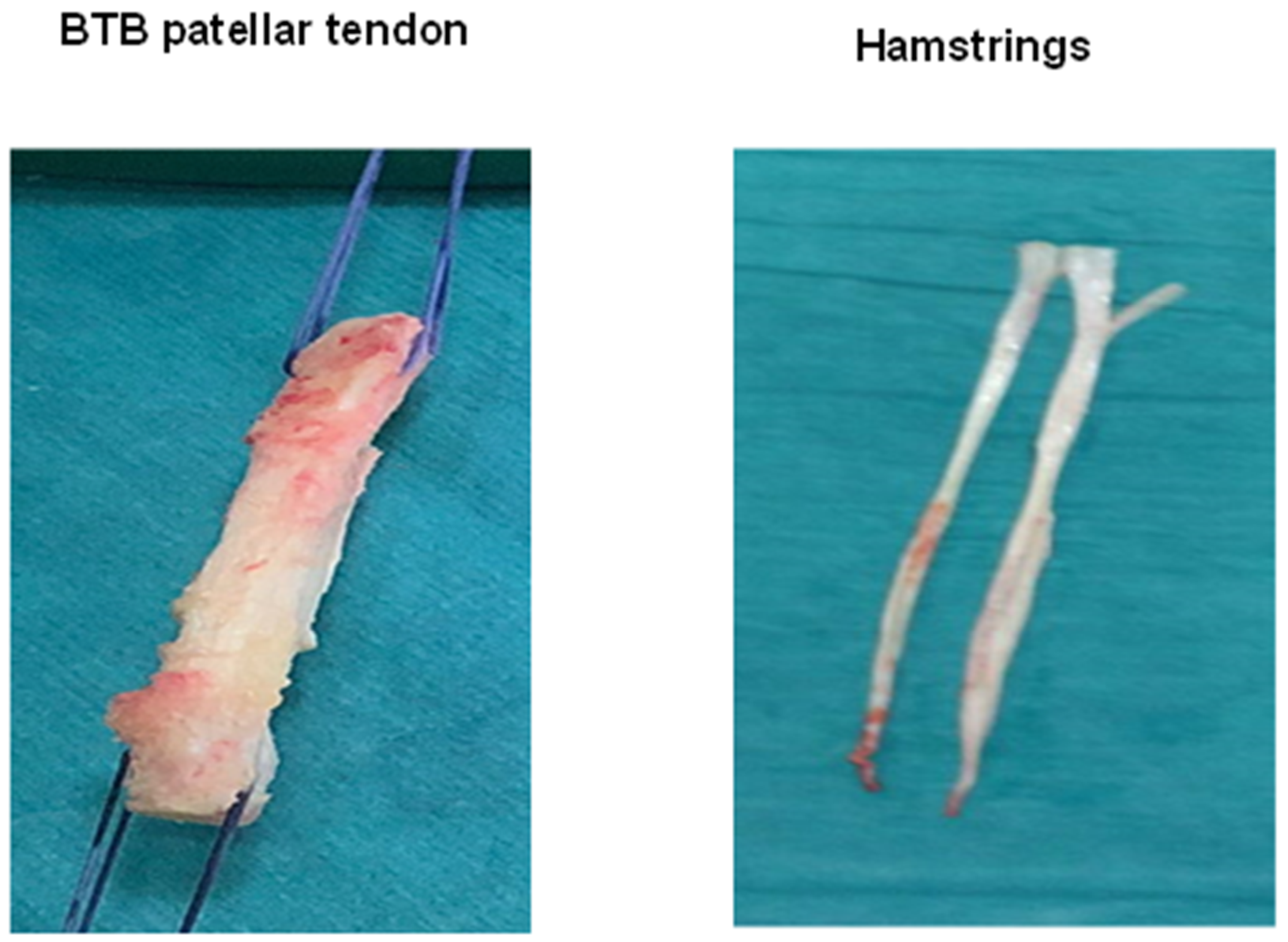 Ijms 22 12566 g001 Ijms 22 12566 g001