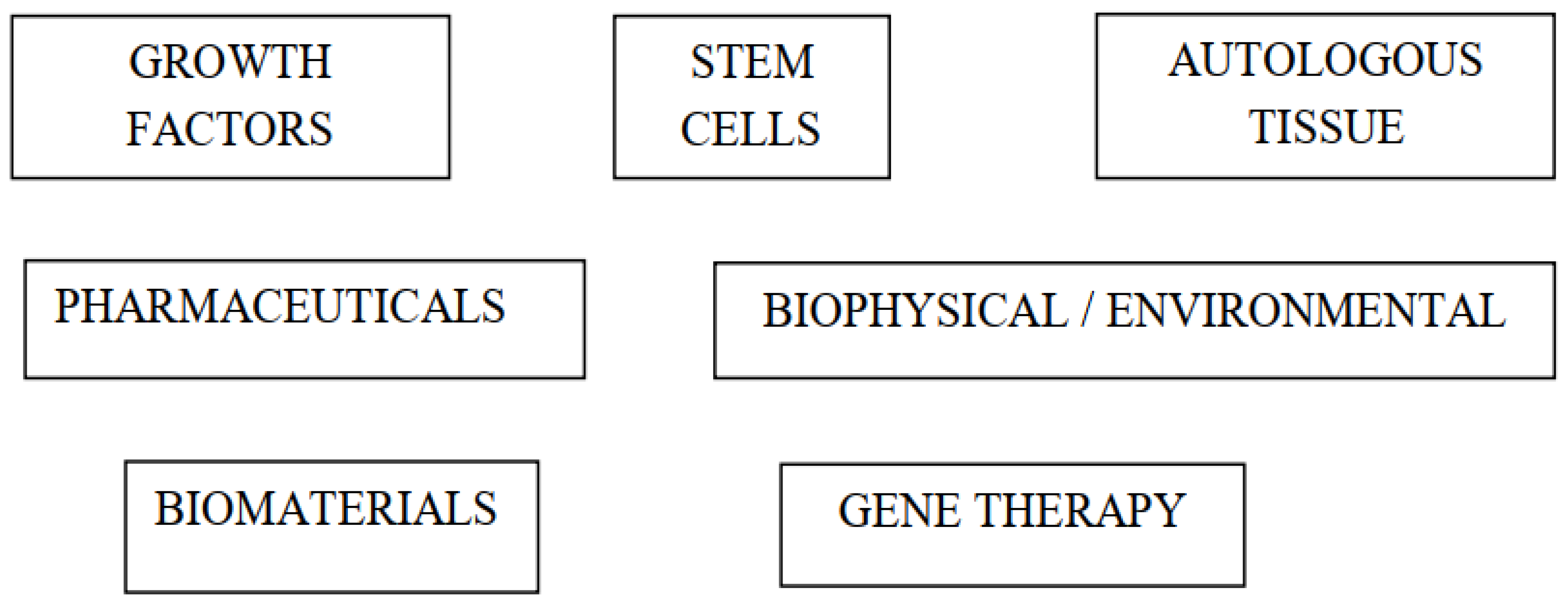 Ijms 22 12566 g002 Ijms 22 12566 g002