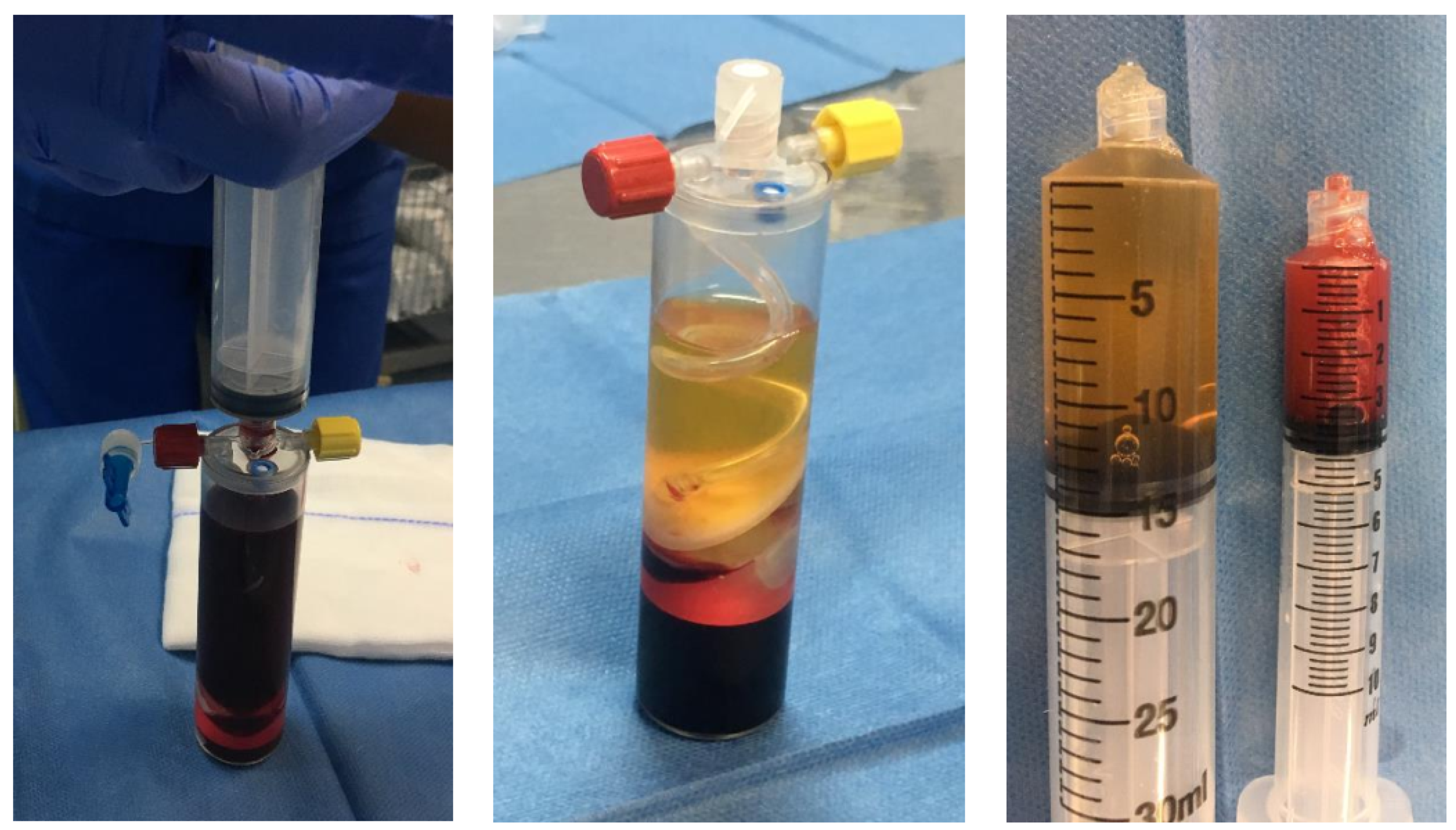 Ijms 22 12566 g003 Ijms 22 12566 g003