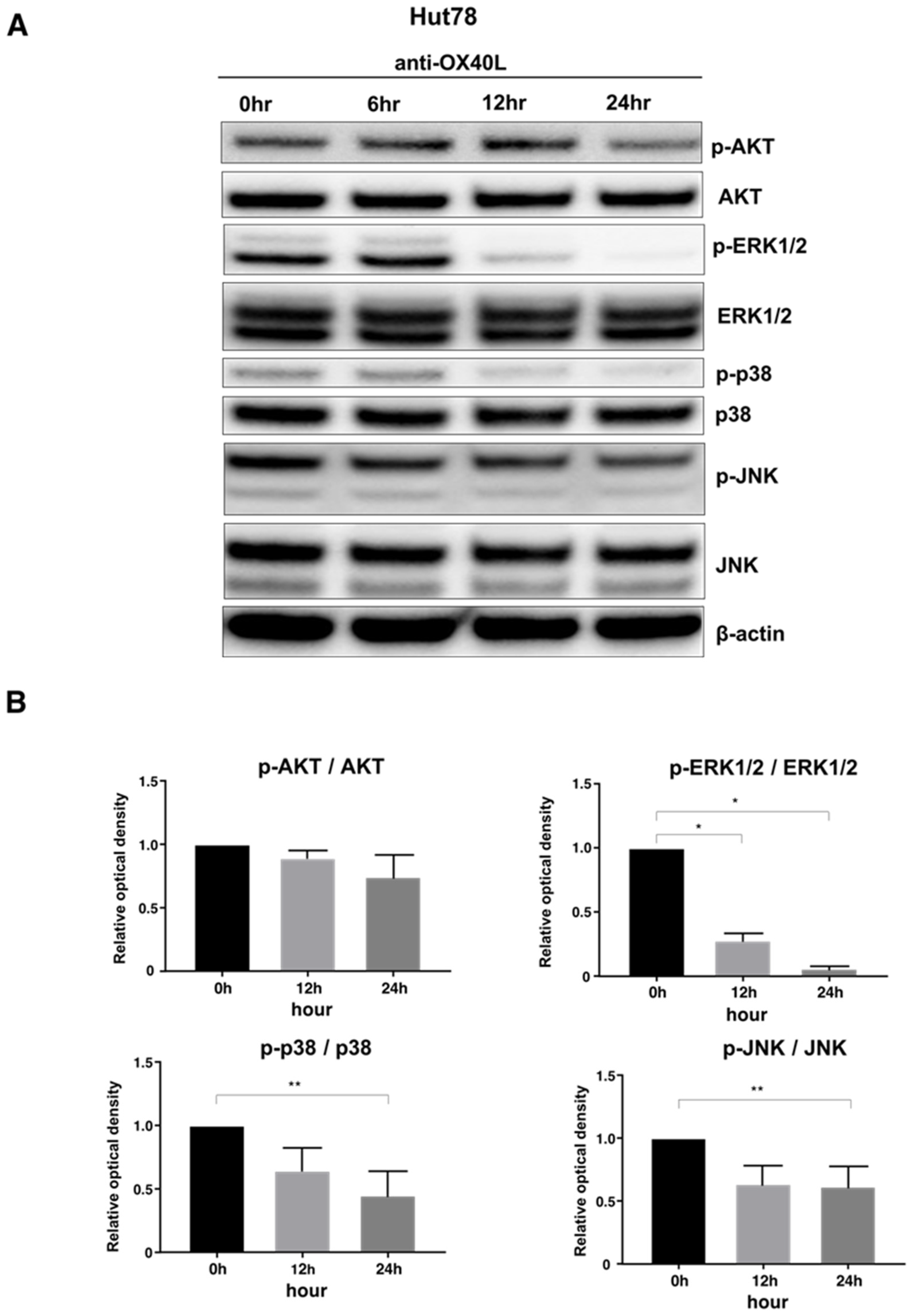 Ijms 22 12576 g005 550