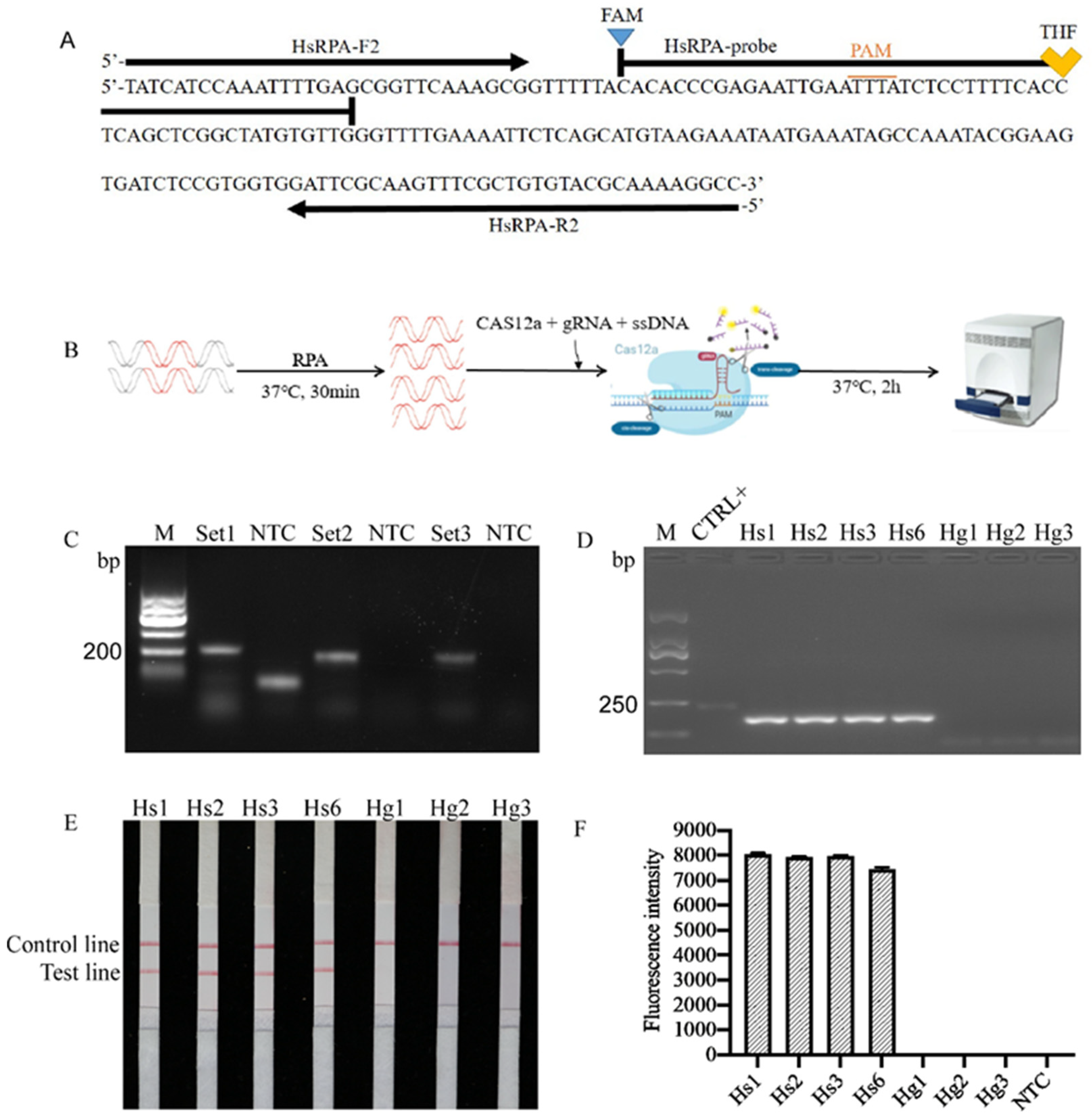 Ijms 22 12577 g001 550