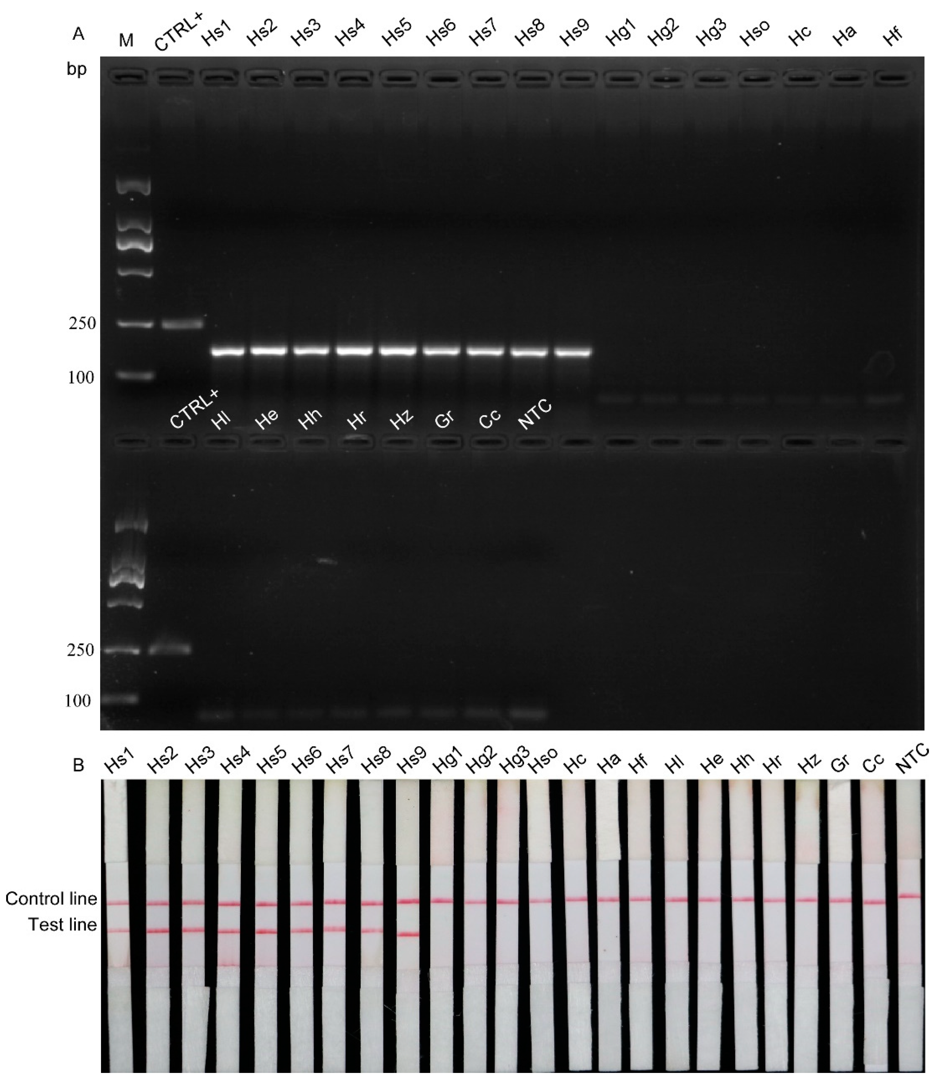 Ijms 22 12577 g002 550