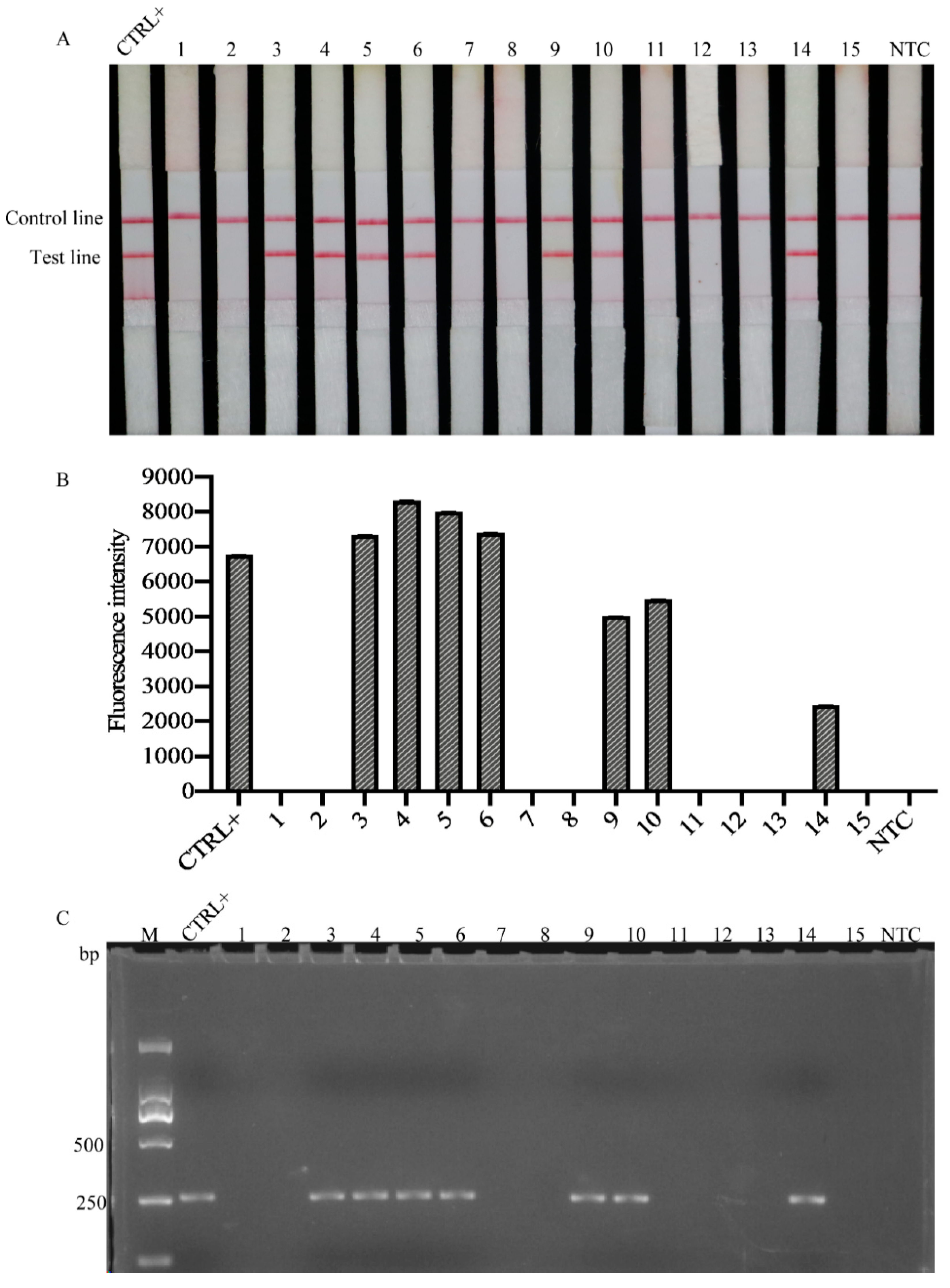 Ijms 22 12577 g006 550