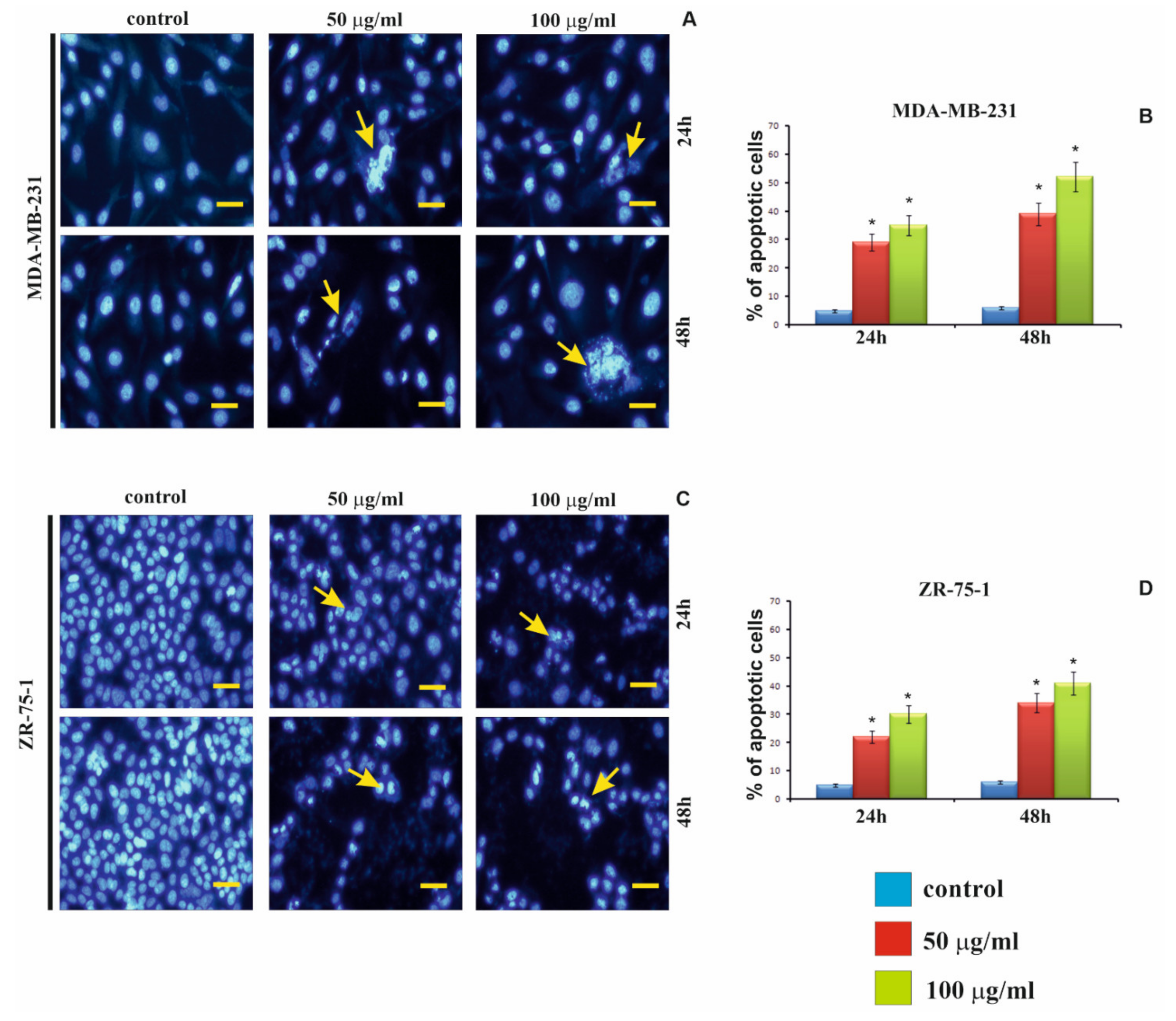 Ijms 22 12593 g004 550