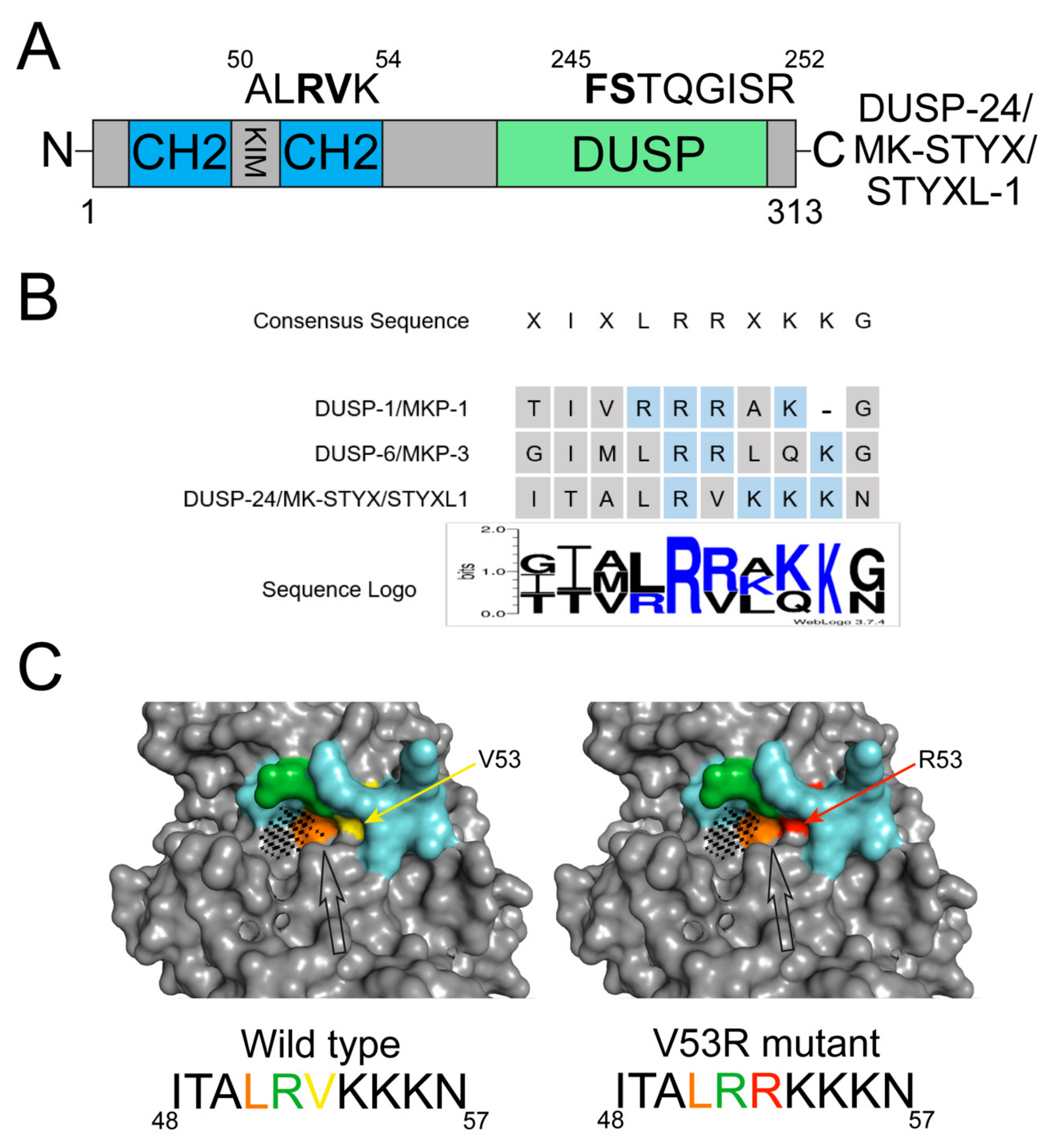 Ijms 22 12595 g003 550